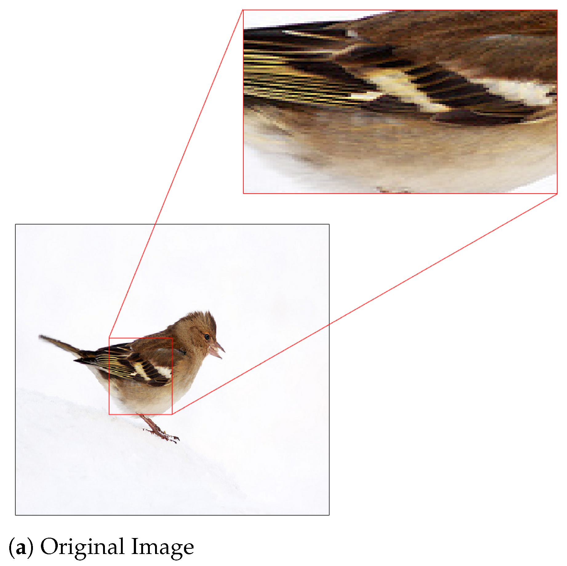 Entropy 23 00881 g005a 550