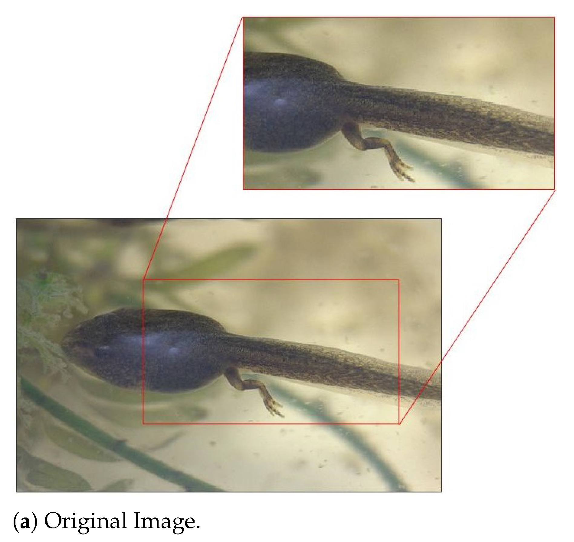 Entropy 23 00881 g010a 550