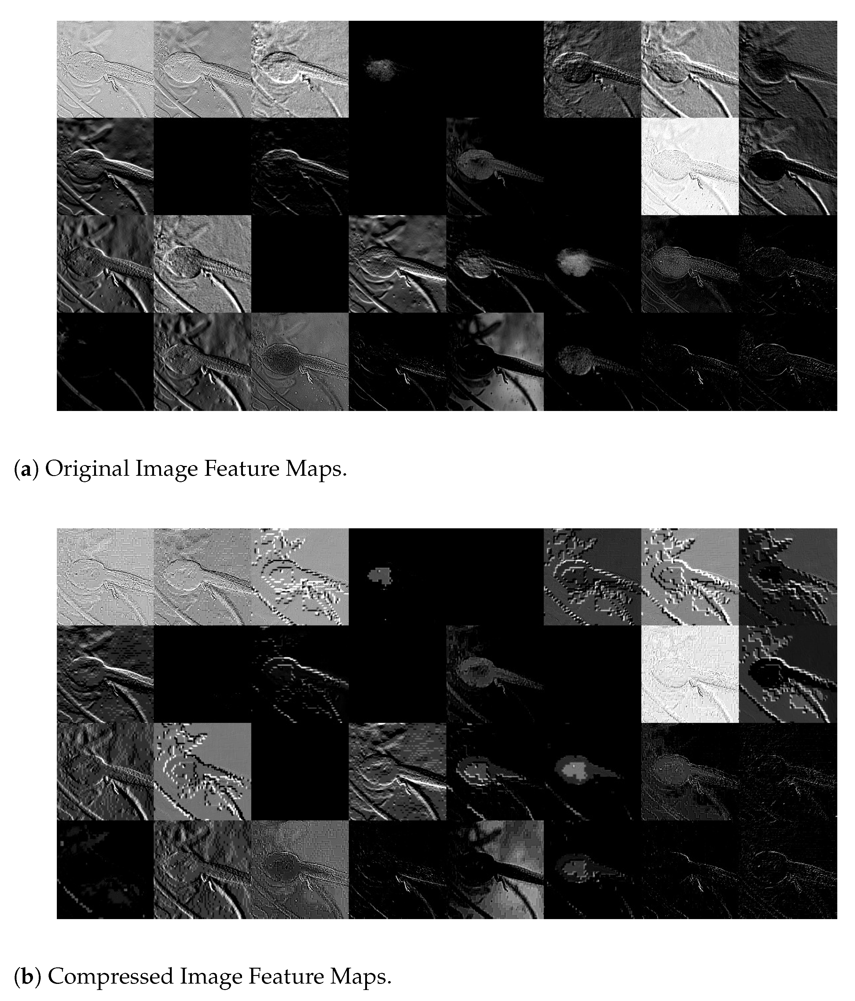 Entropy 23 00881 g011 550