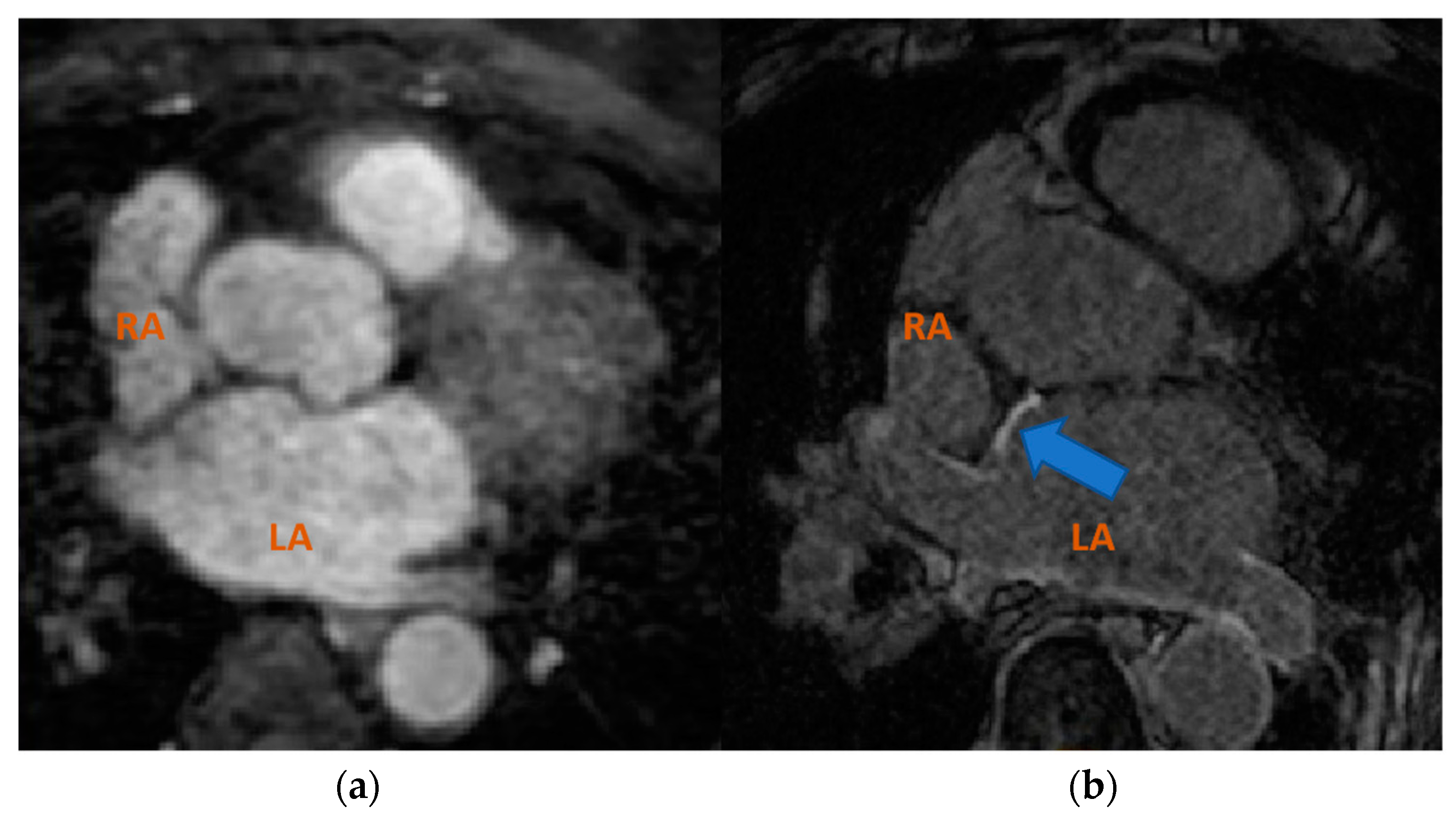 Entropy 23 00898 g001