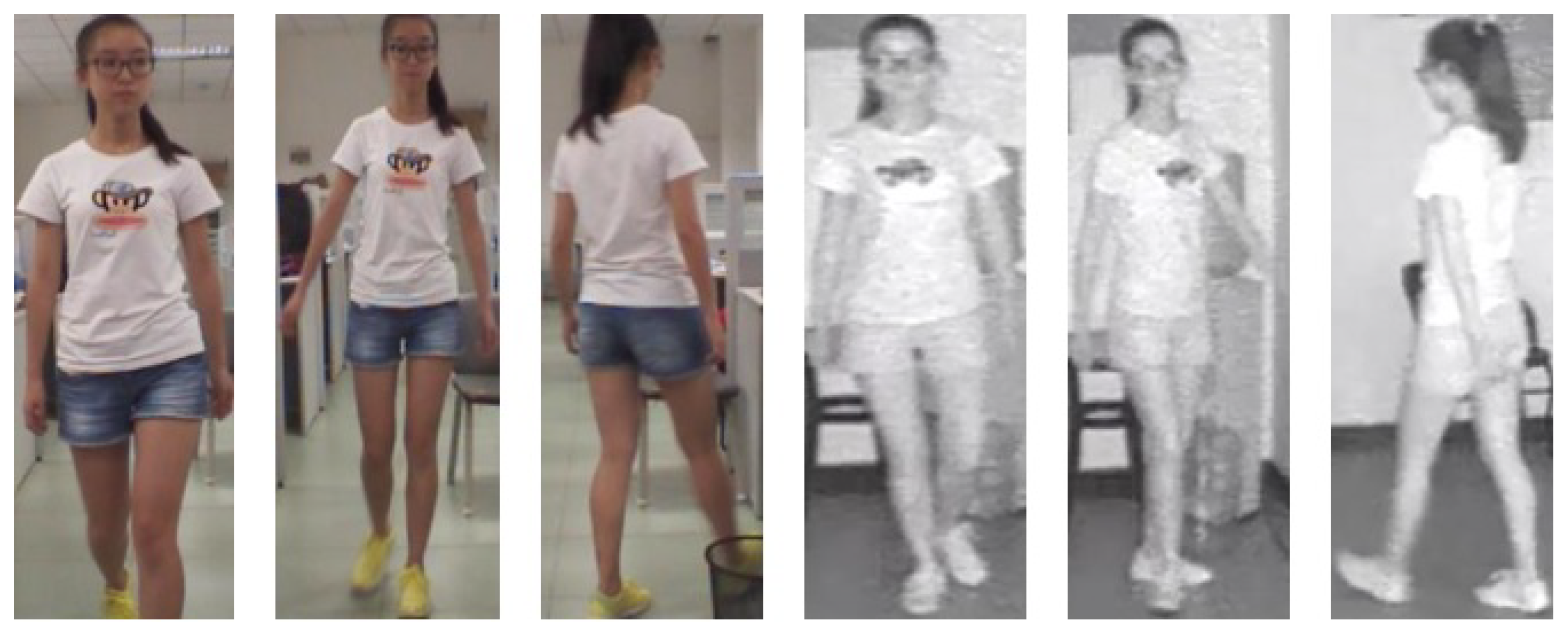 Entropy 23 00919 g001