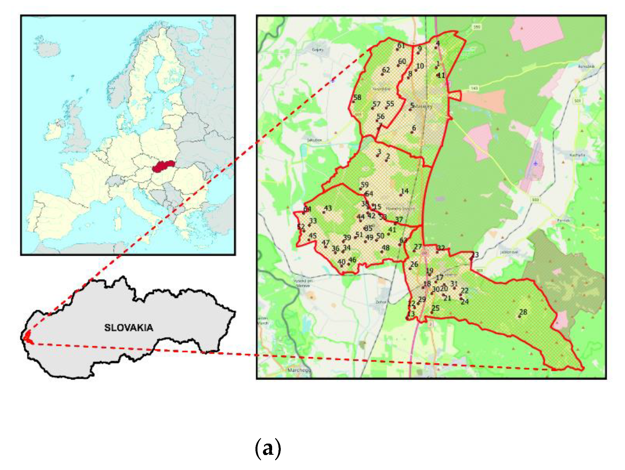 Entropy 23 00935 g001a