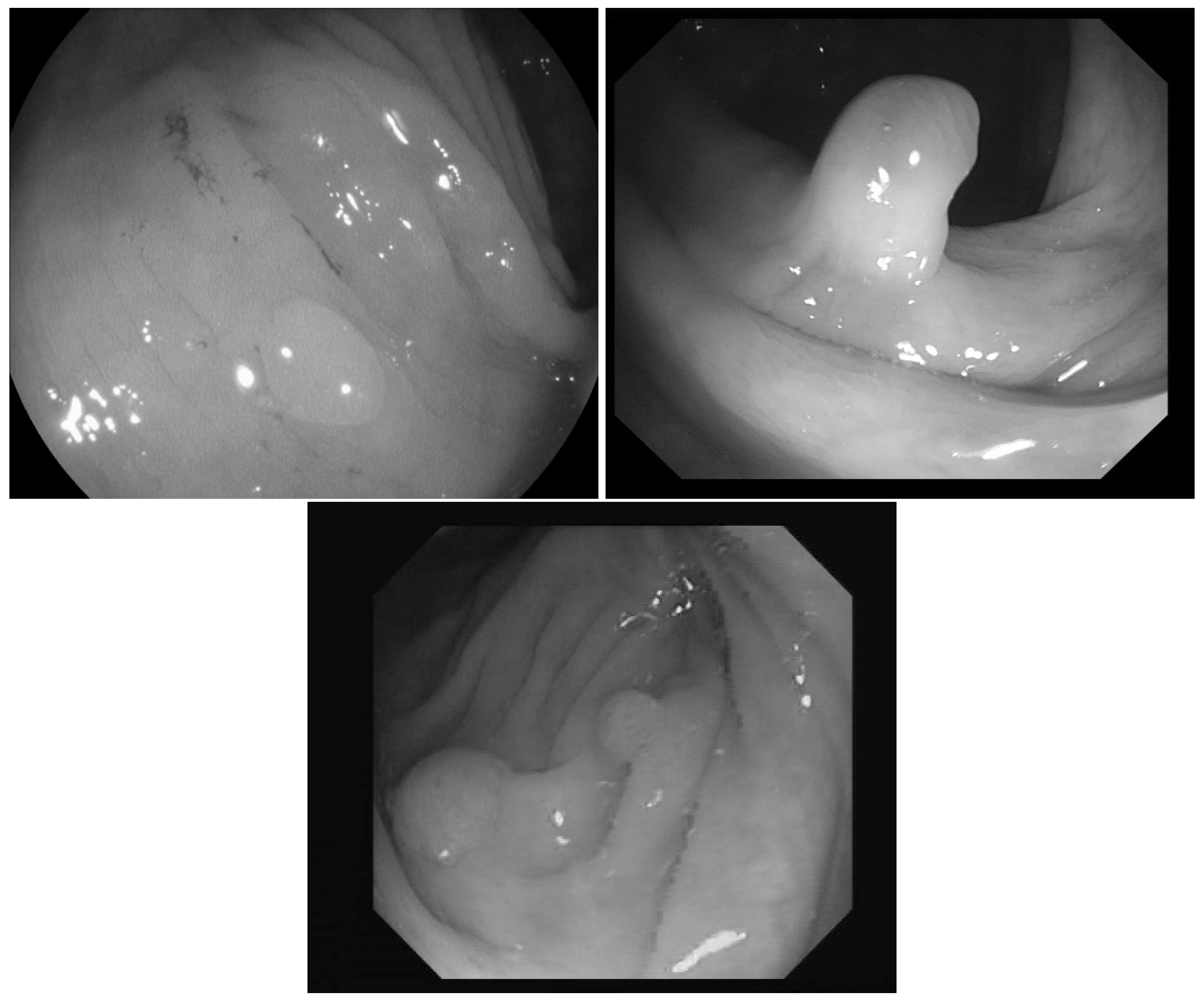 Entropy 23 00936 g001