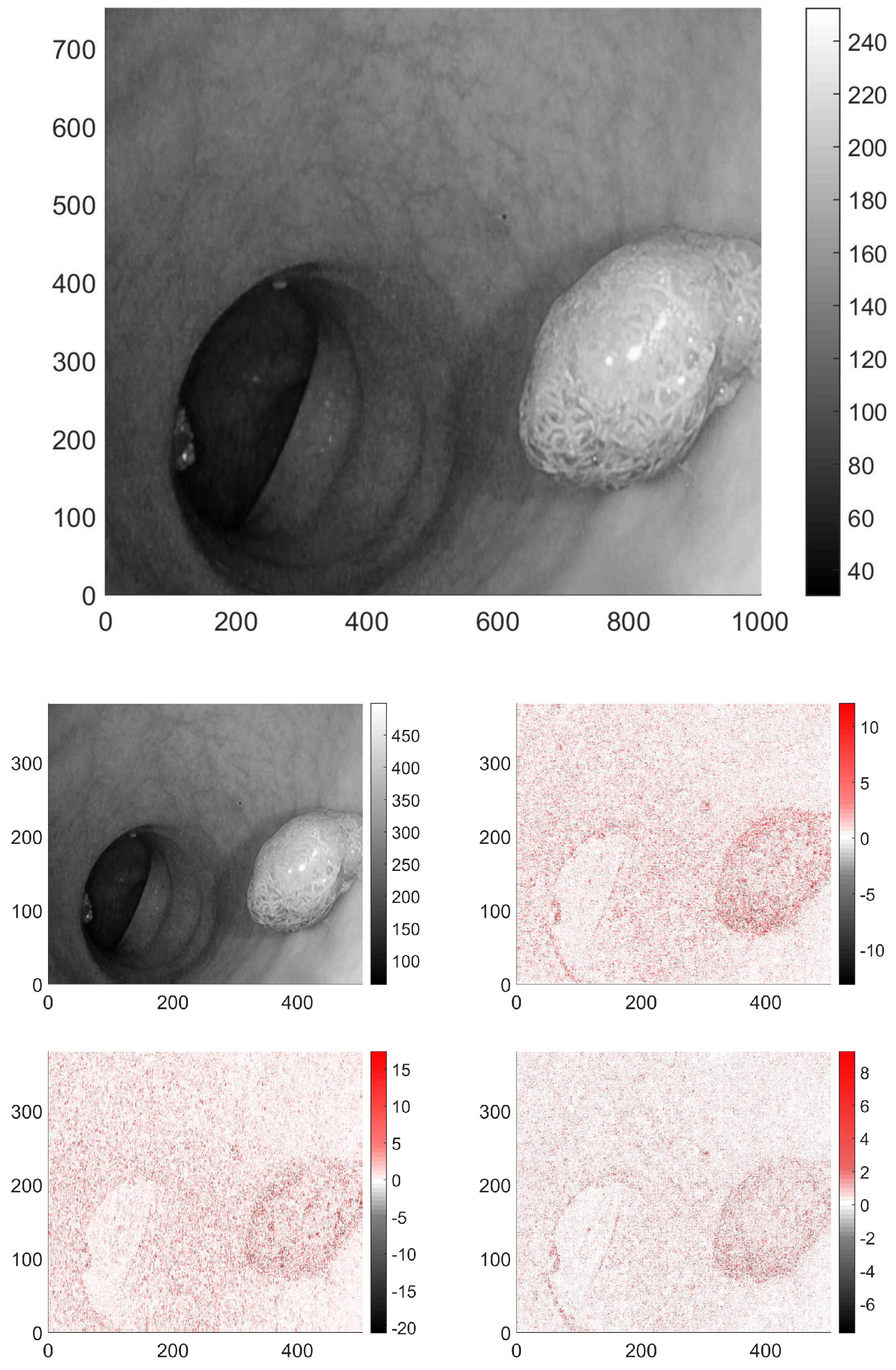 Entropy 23 00936 g003