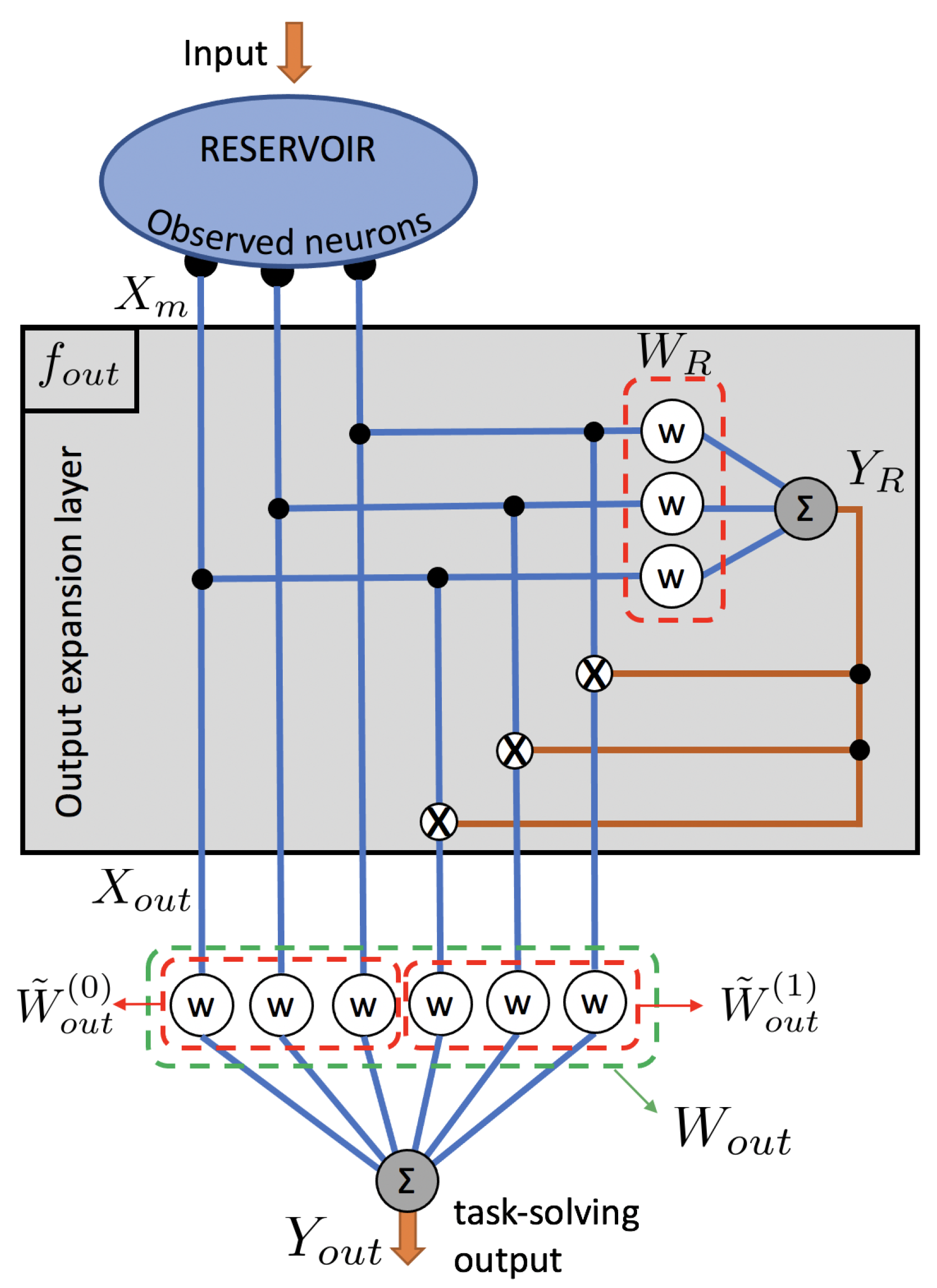 Entropy 23 00955 g001 550