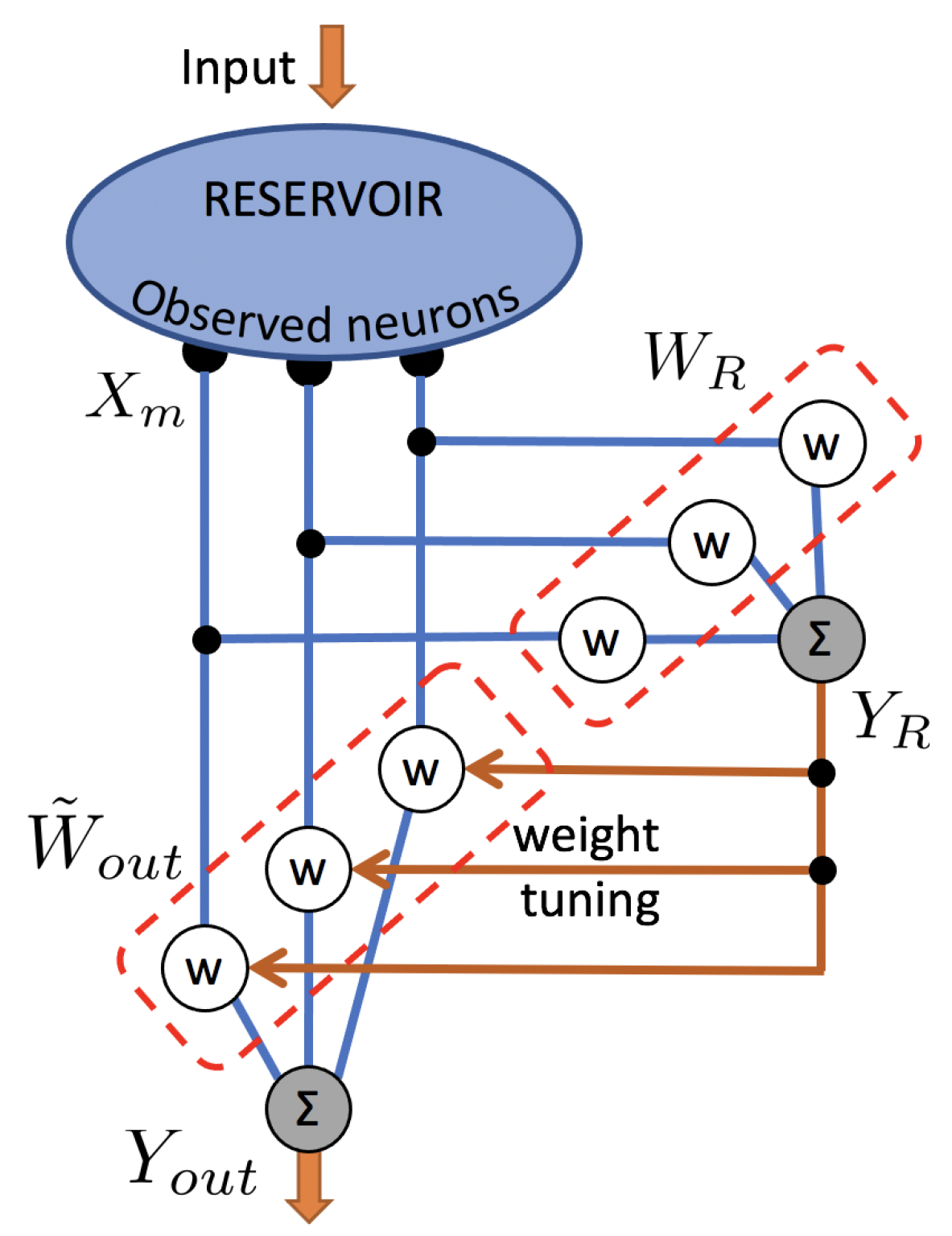 Entropy 23 00955 g002 550