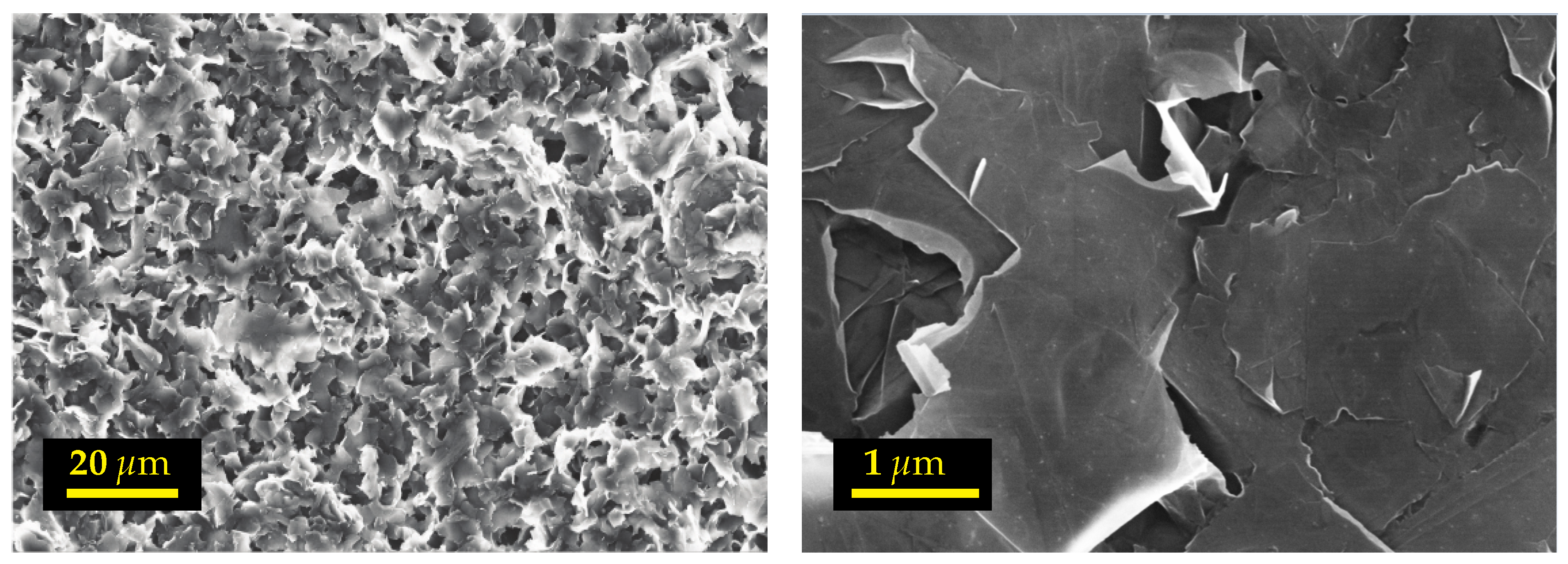 Entropy 23 00979 g003 550