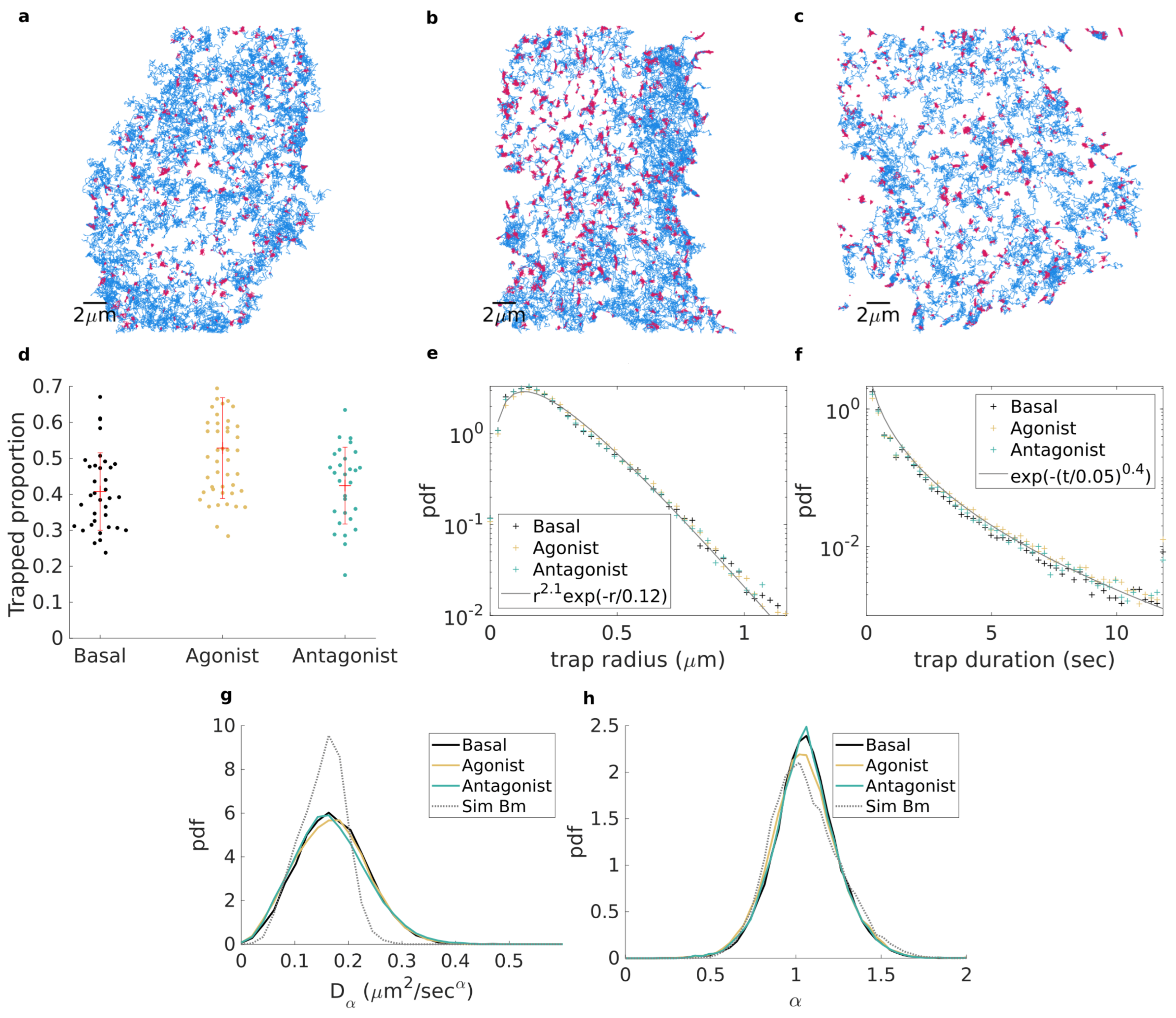 Entropy 23 01044 g003