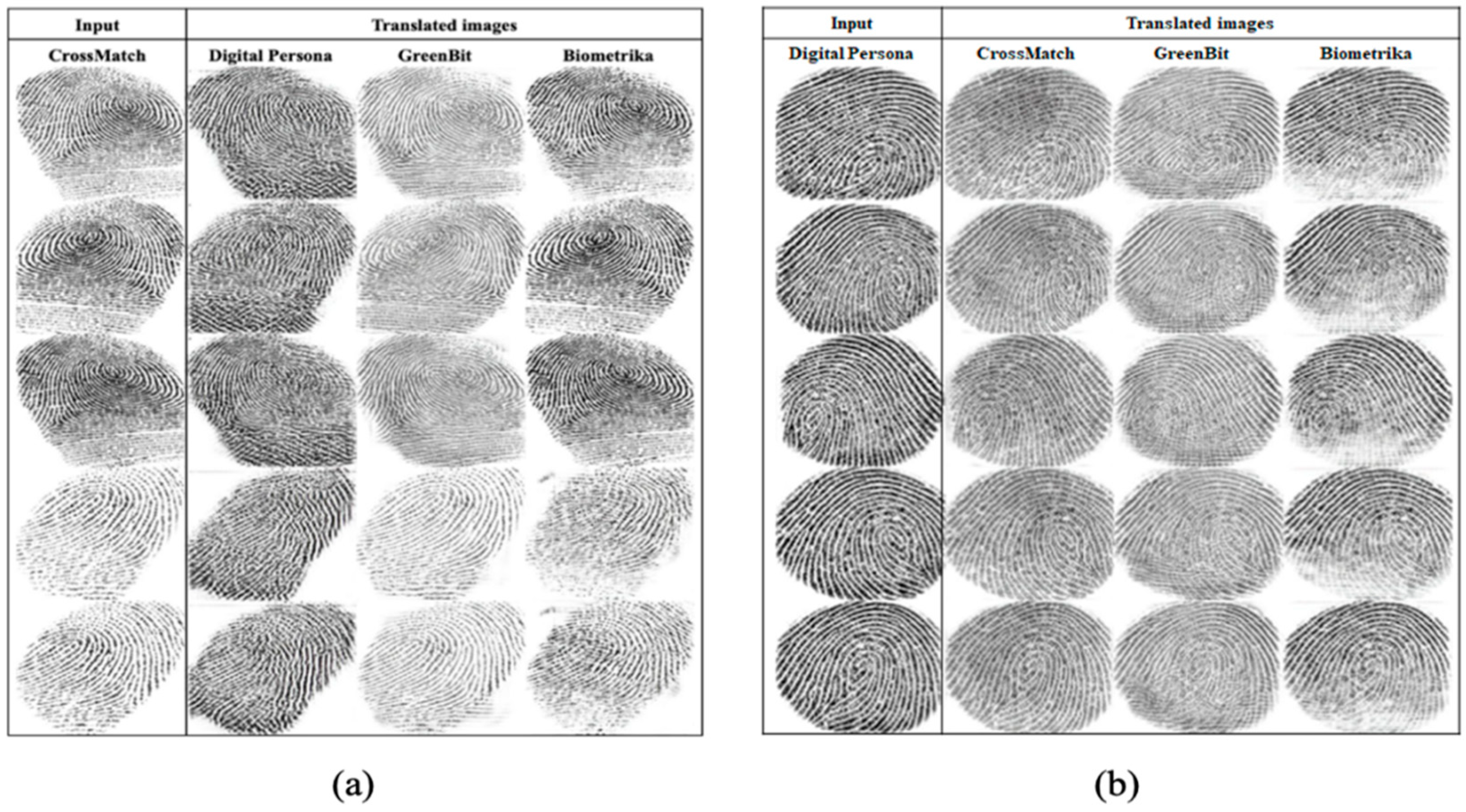 Entropy 23 01089 g008 550