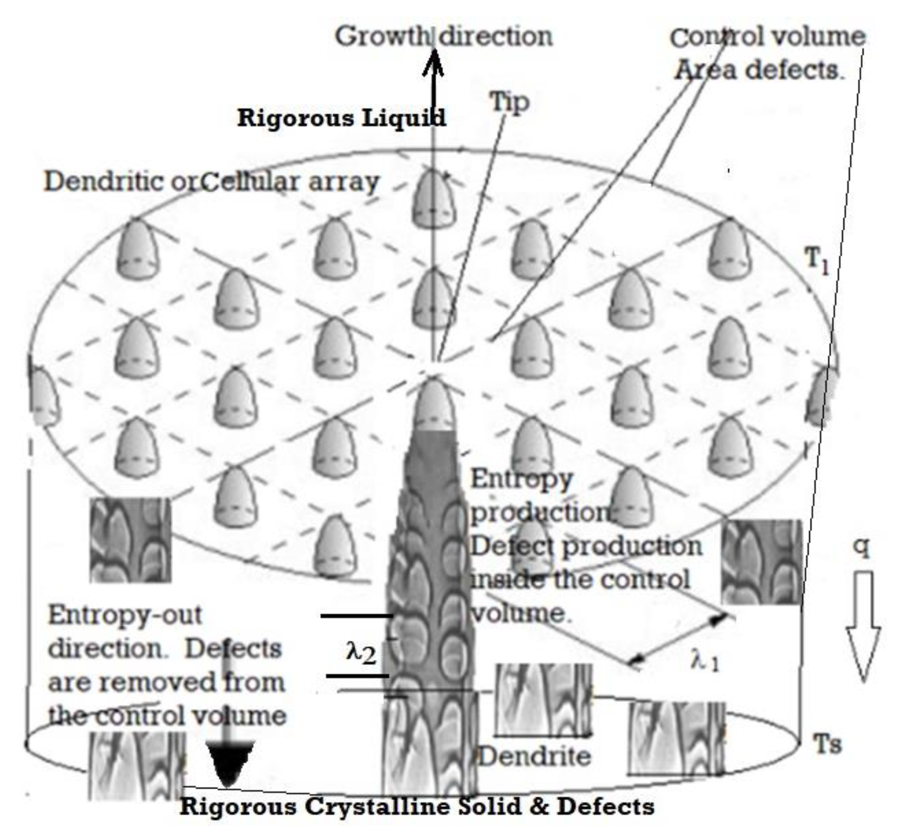 Entropy 23 01092 g003 Entropy 23 01092 g003