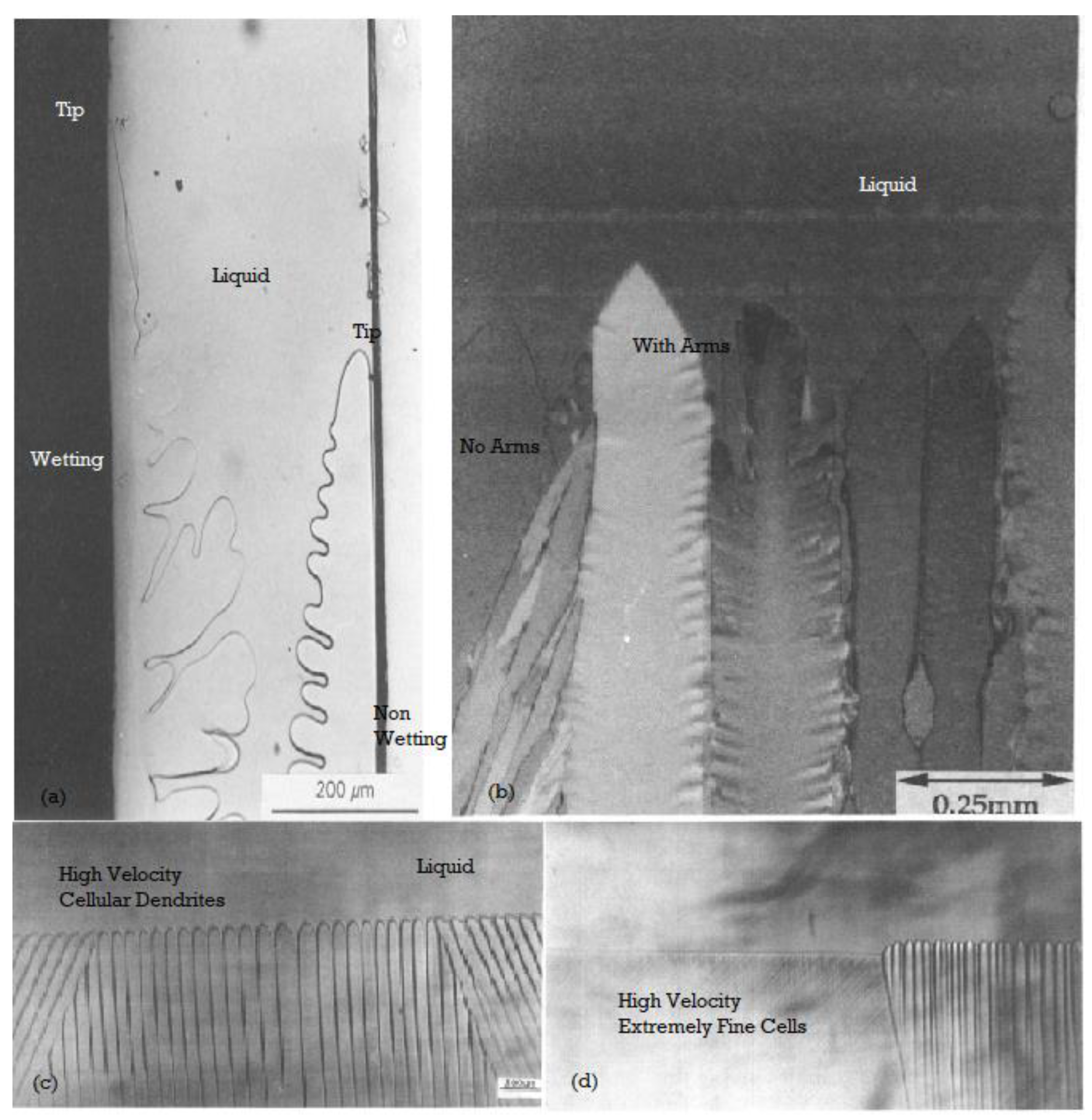 Entropy 23 01092 g004 Entropy 23 01092 g004