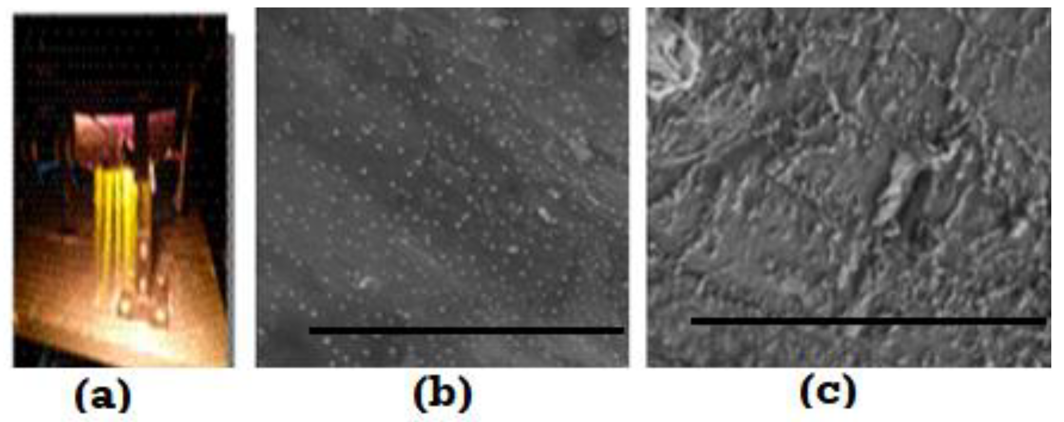 Entropy 23 01092 g008 Entropy 23 01092 g008