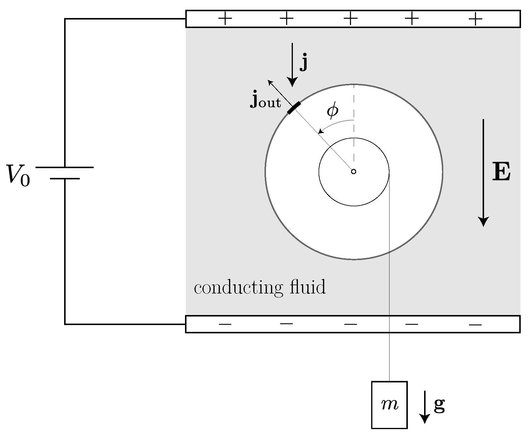 Entropy 23 01095 g005 Entropy 23 01095 g005
