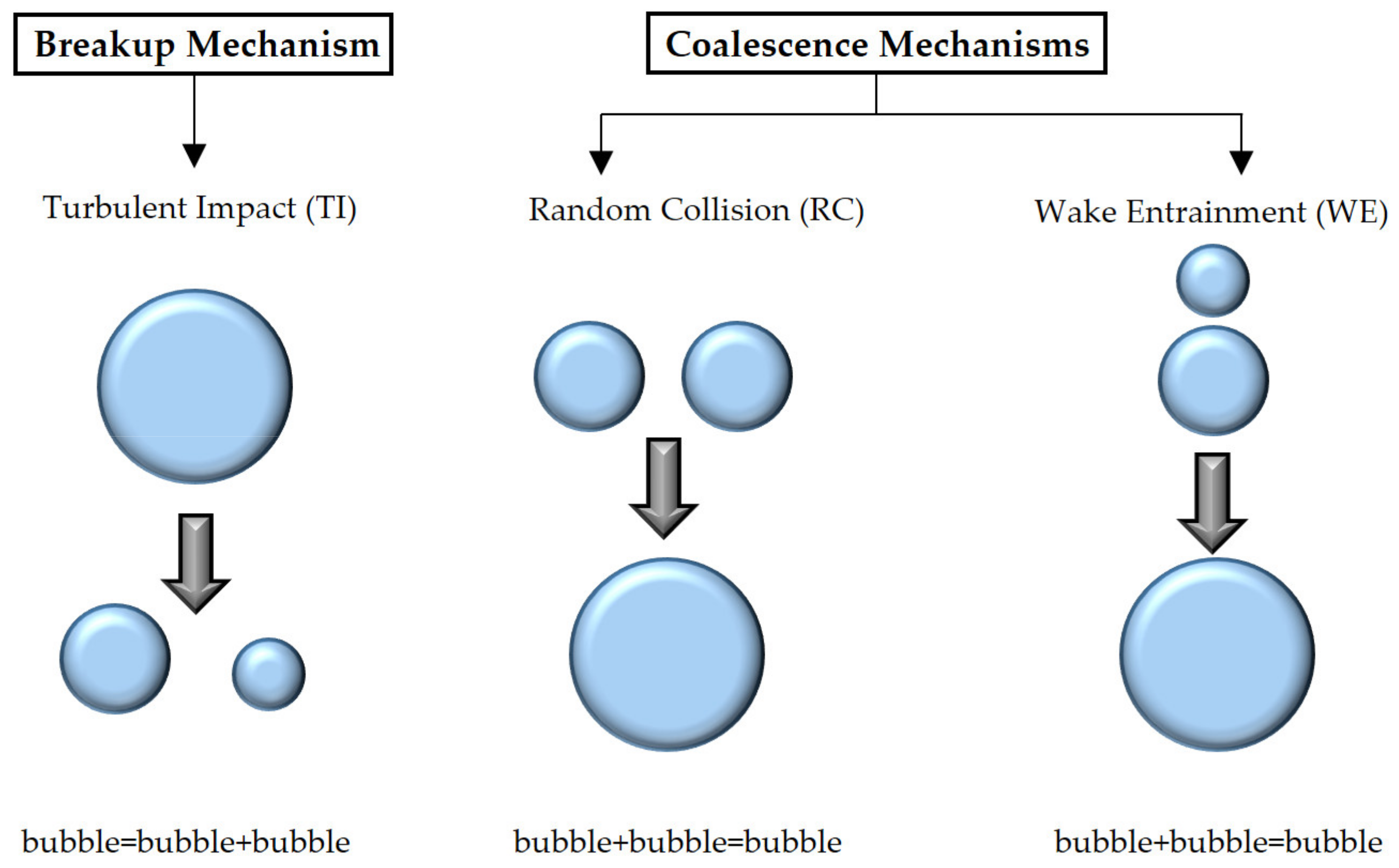Entropy 23 01106 g004