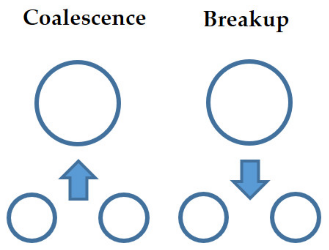 Entropy 23 01106 g005