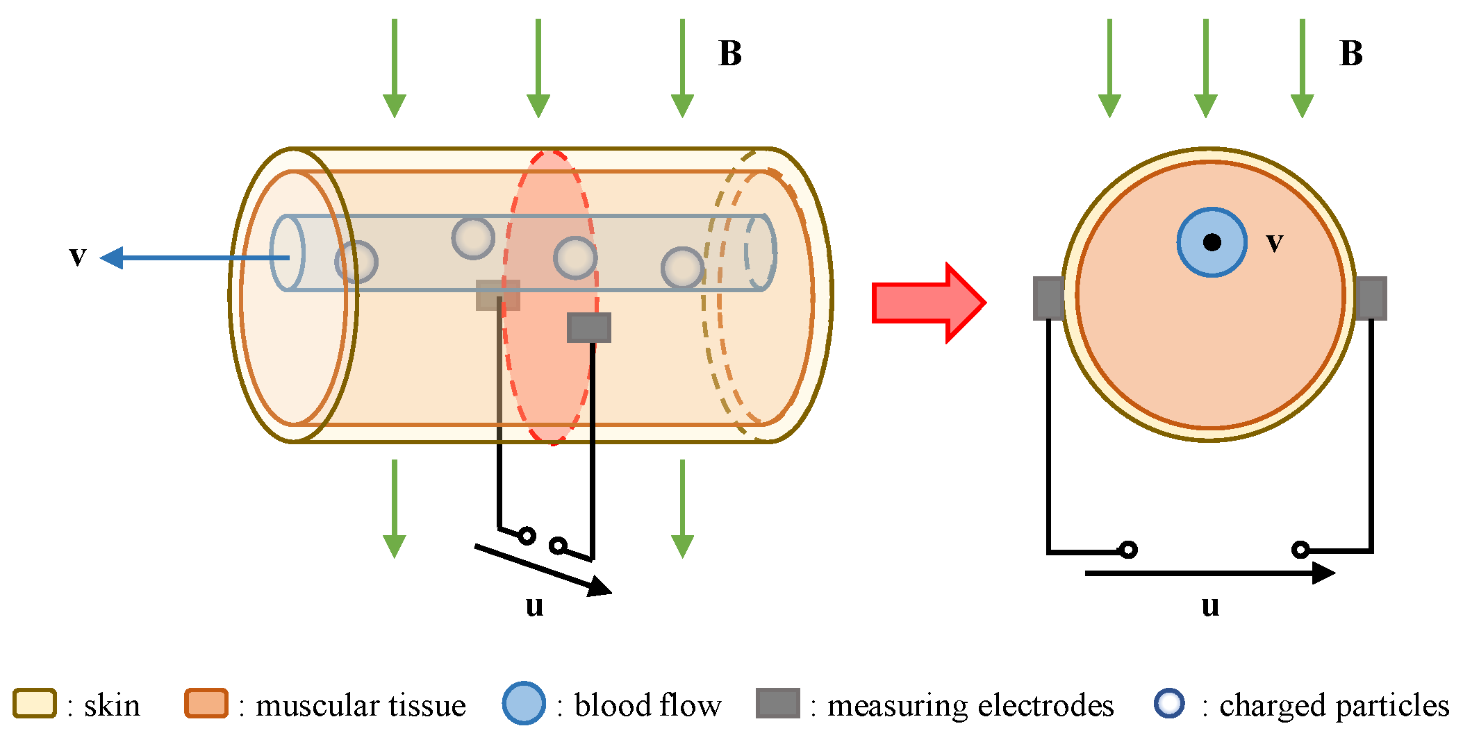 Entropy 23 01114 g001