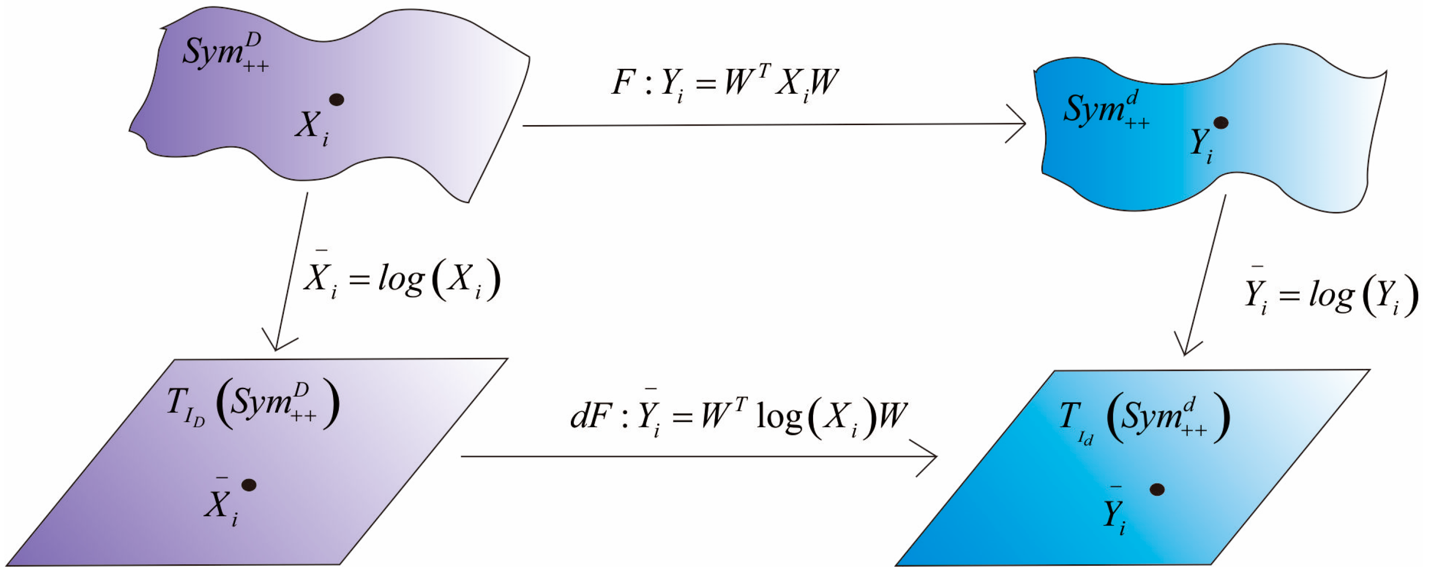 Entropy 23 01117 g001