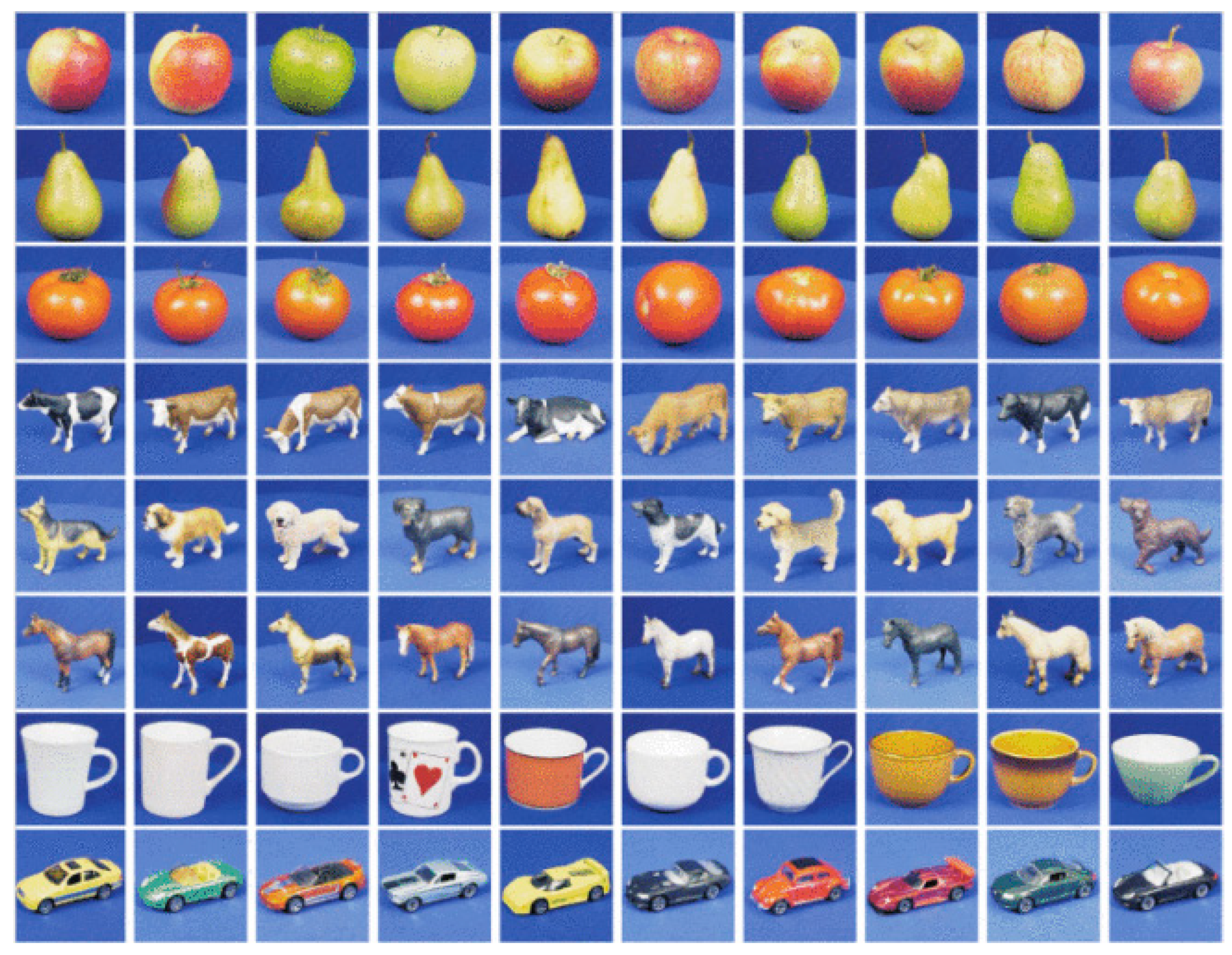 Entropy 23 01117 g014