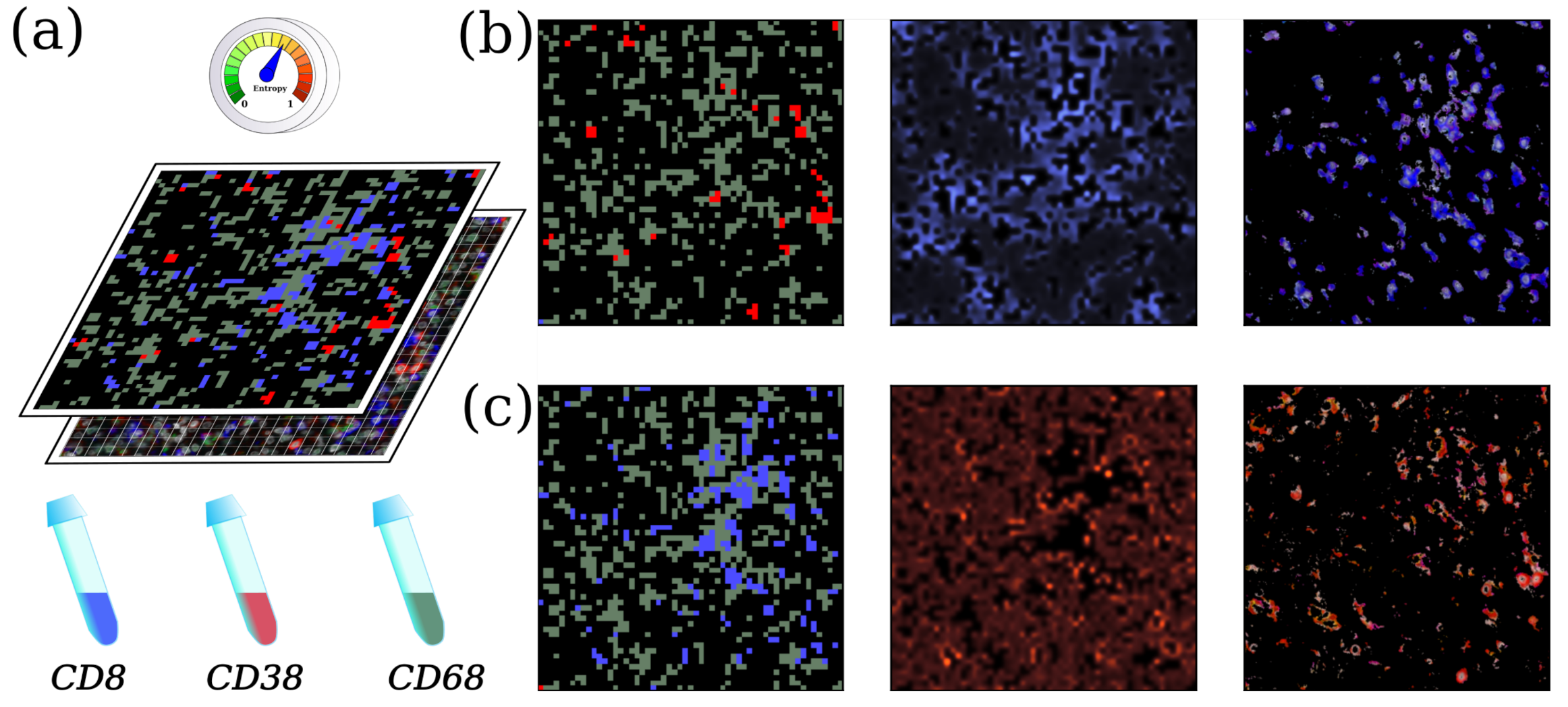 Entropy 23 01138 g004