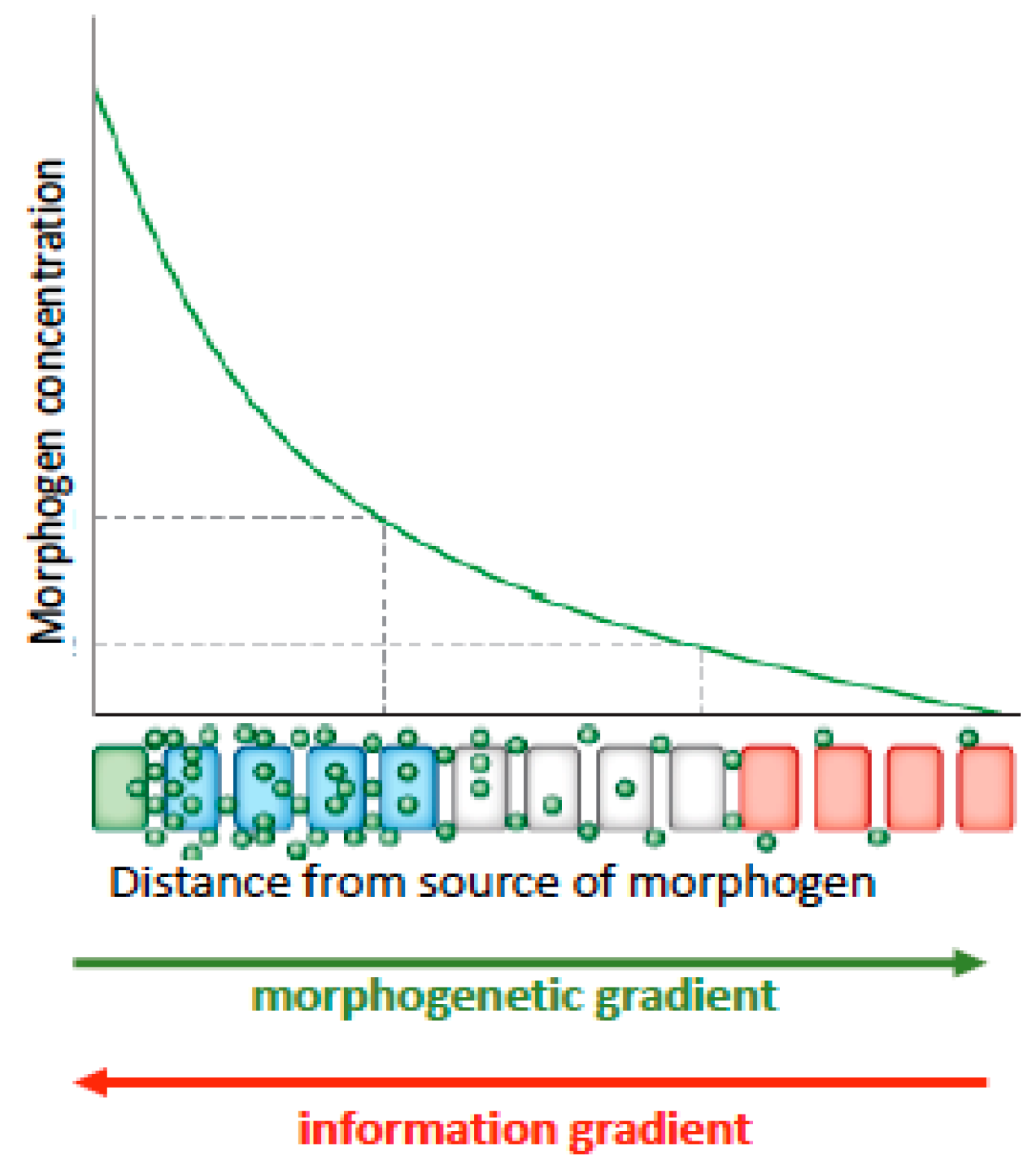 Entropy 23 01141 g001 550