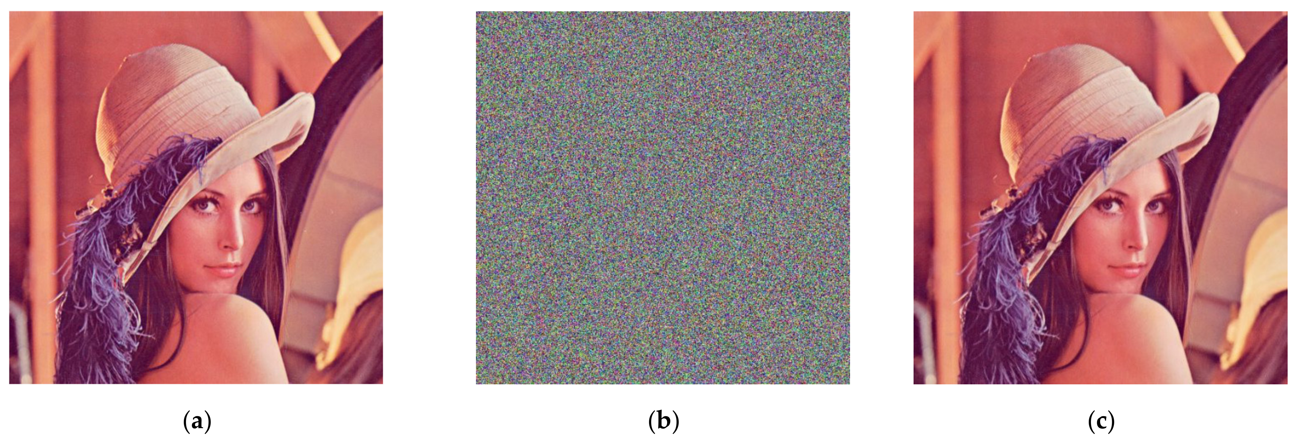 Entropy 23 01159 g003