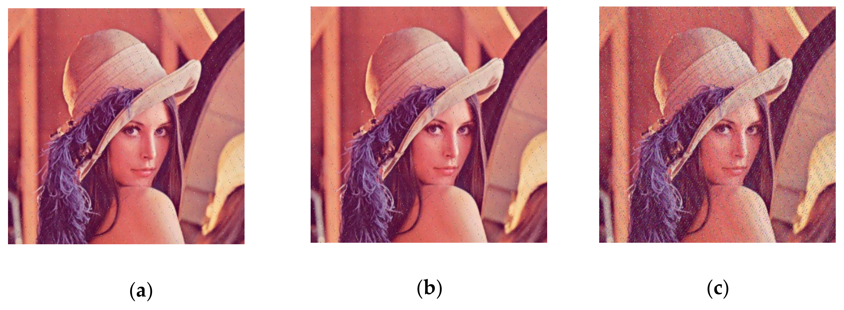 Entropy 23 01159 g017