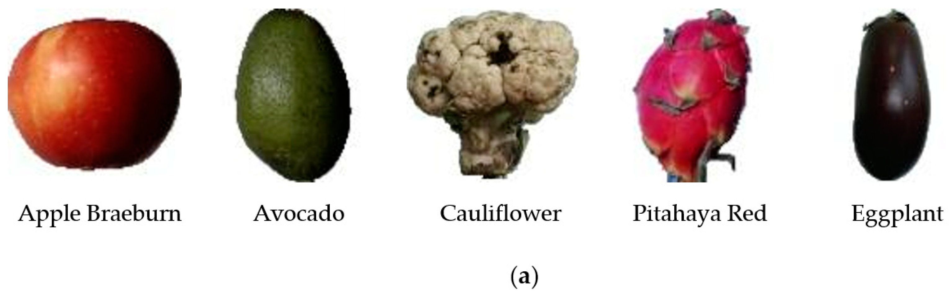 Entropy 23 01160 g008a 550