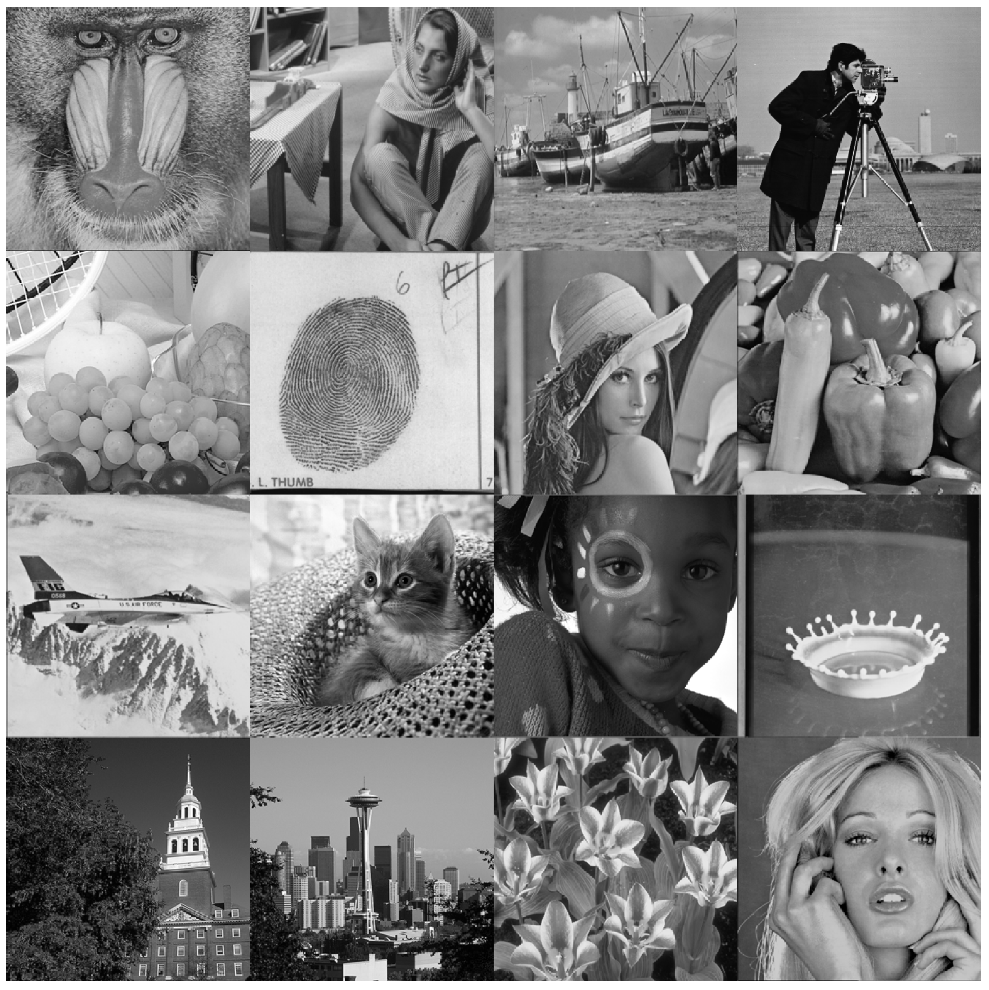 Entropy 23 01162 g014 550