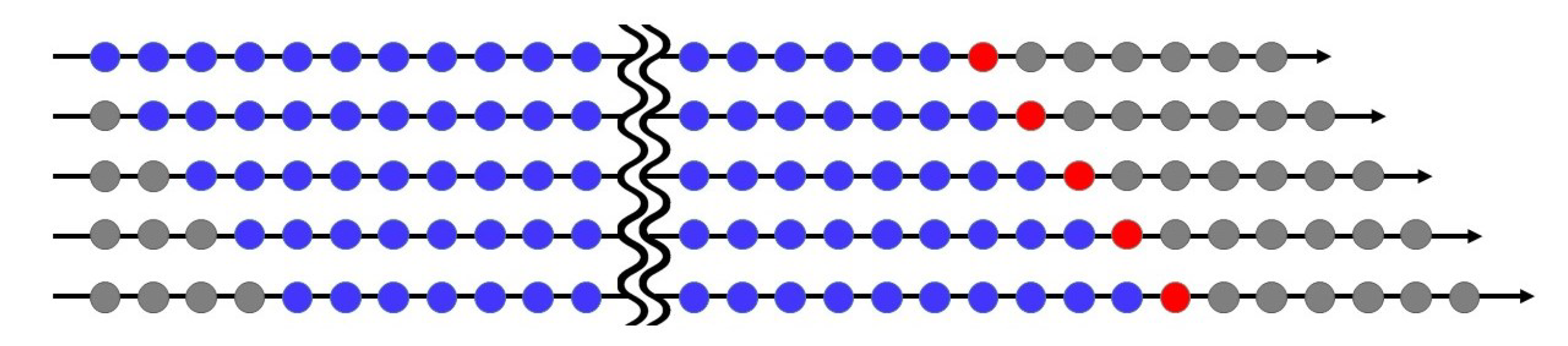 Entropy 23 01167 g002