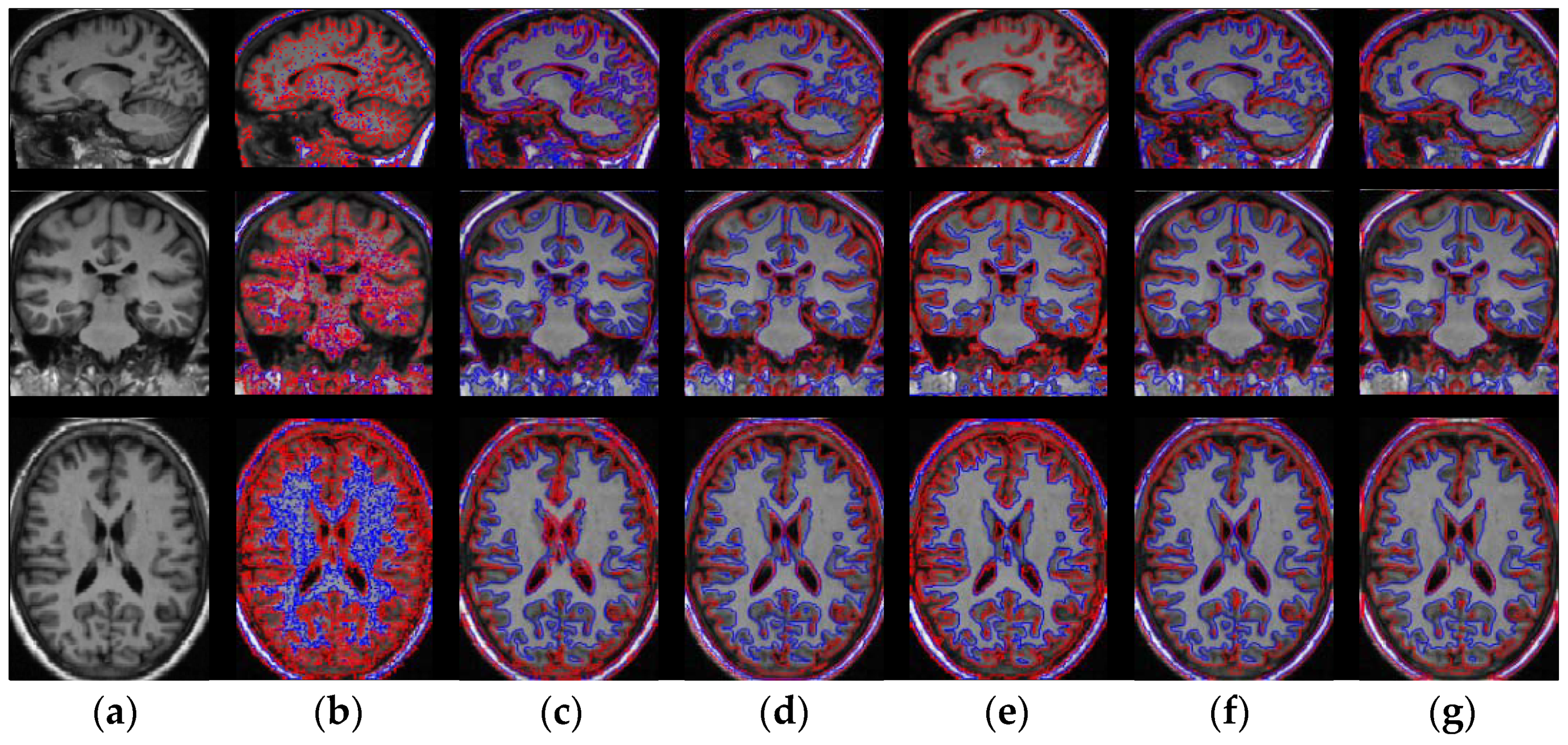 Entropy 23 01196 g012