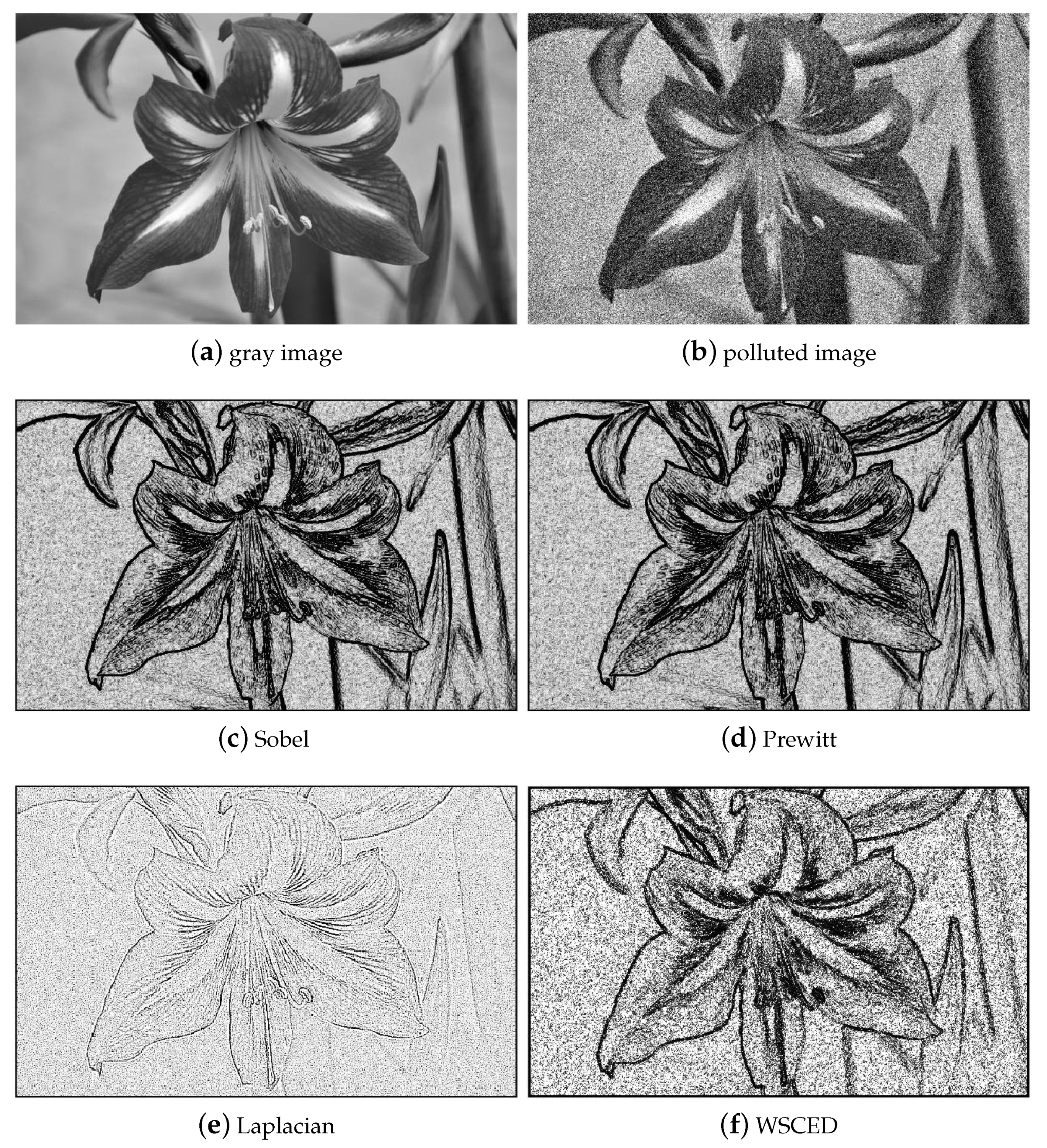 Entropy 23 01214 g009 550