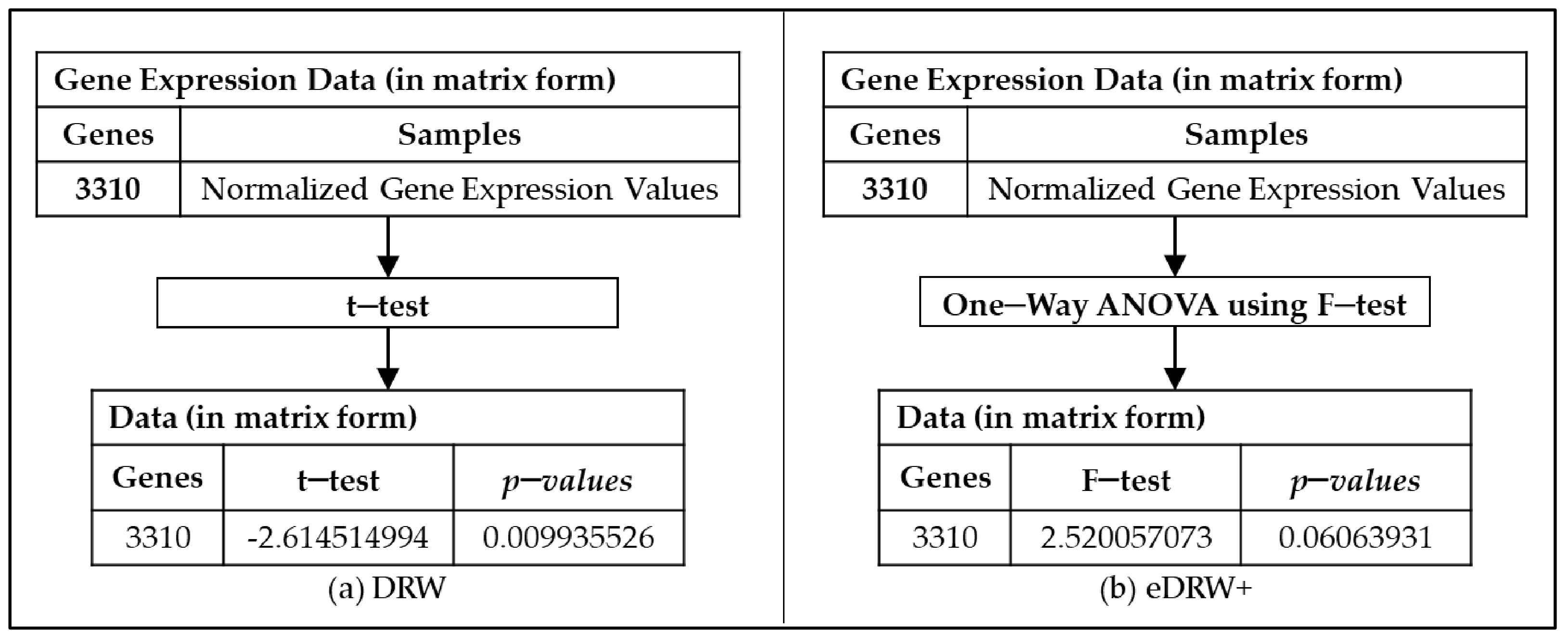 Entropy 23 01232 g003