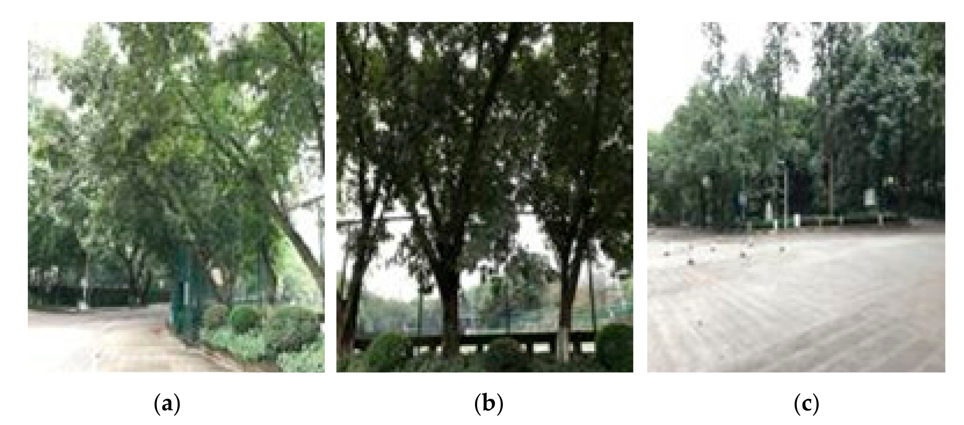 Entropy 23 01233 g013 550