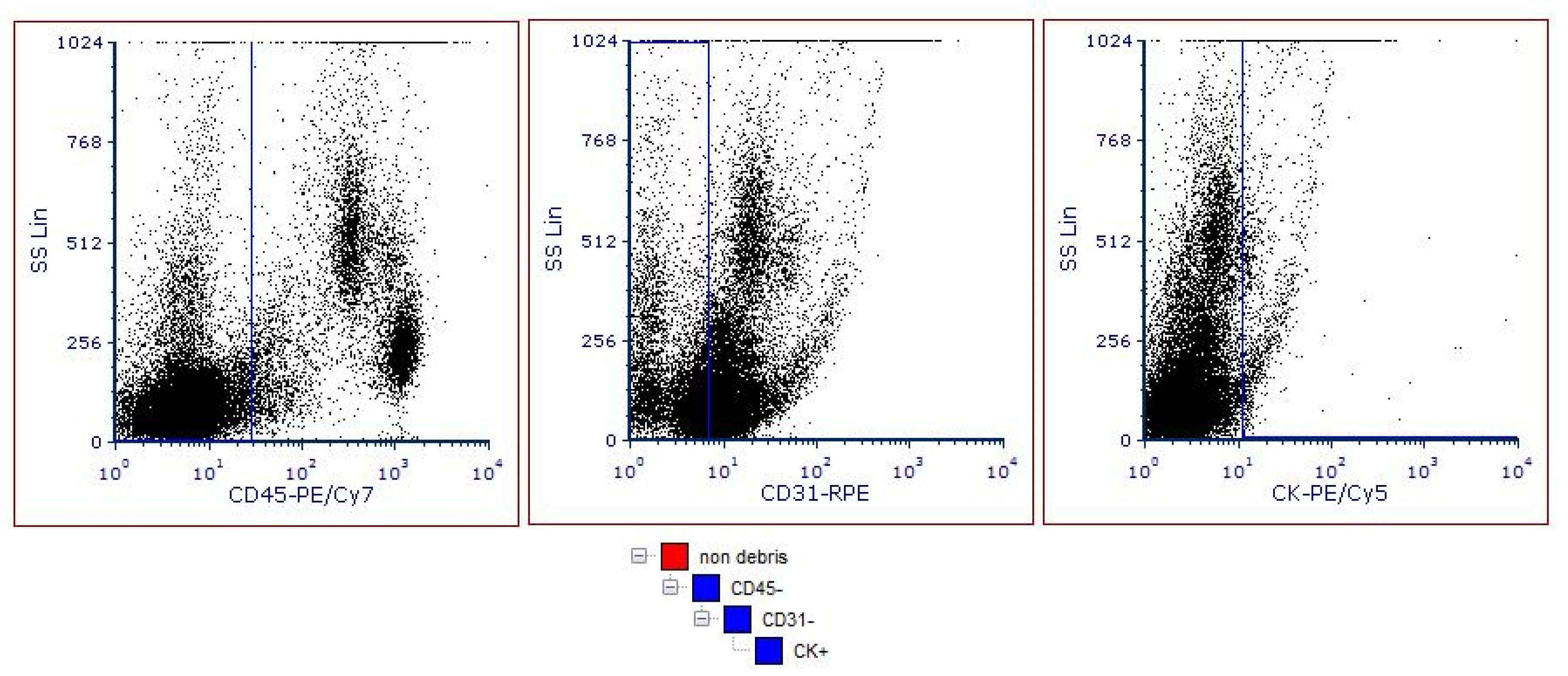 Entropy 23 01248 g001 Entropy 23 01248 g001