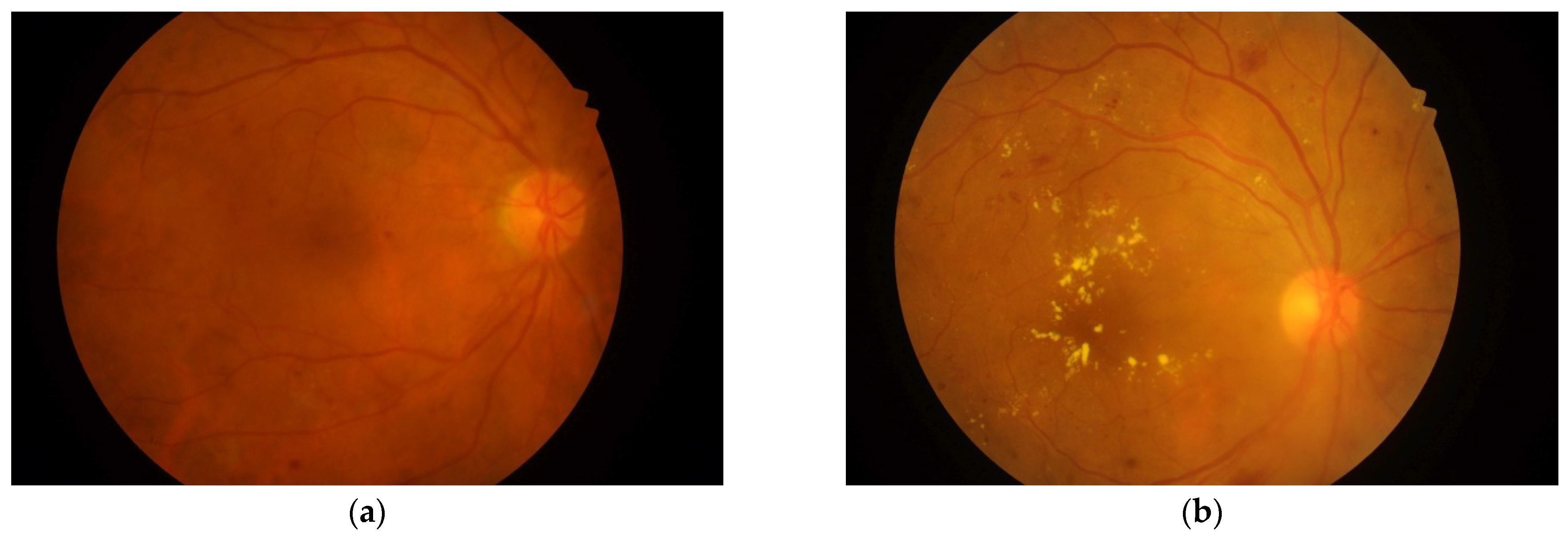 Entropy 23 01251 g001