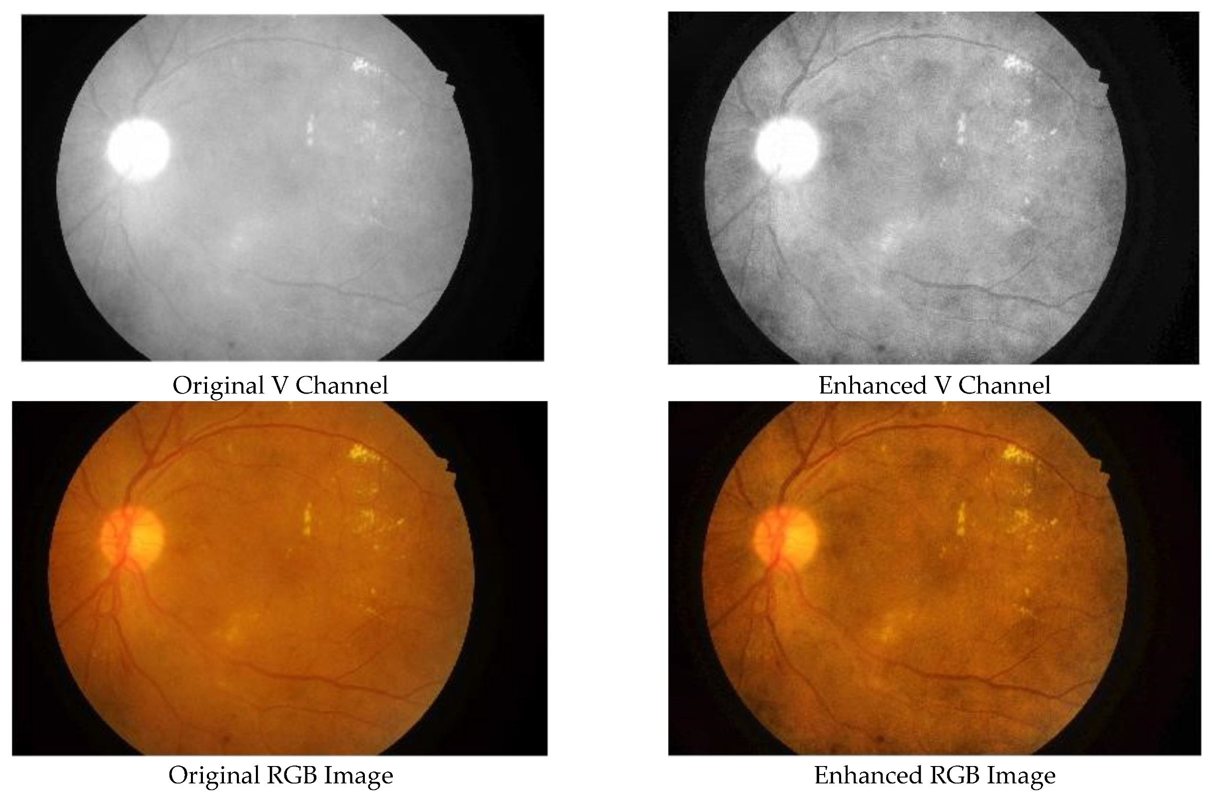 Entropy 23 01251 g003