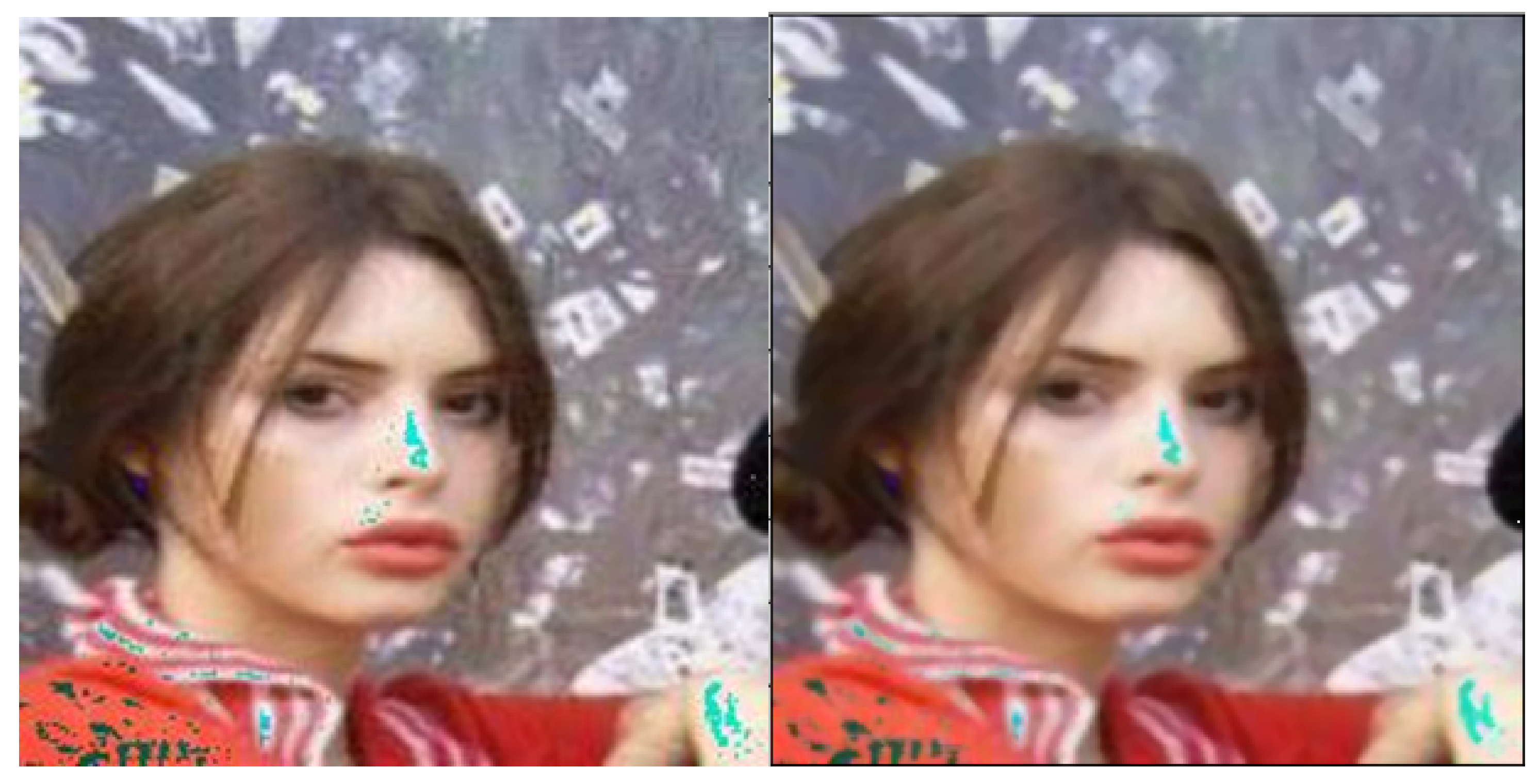 Entropy 23 01304 g004 550