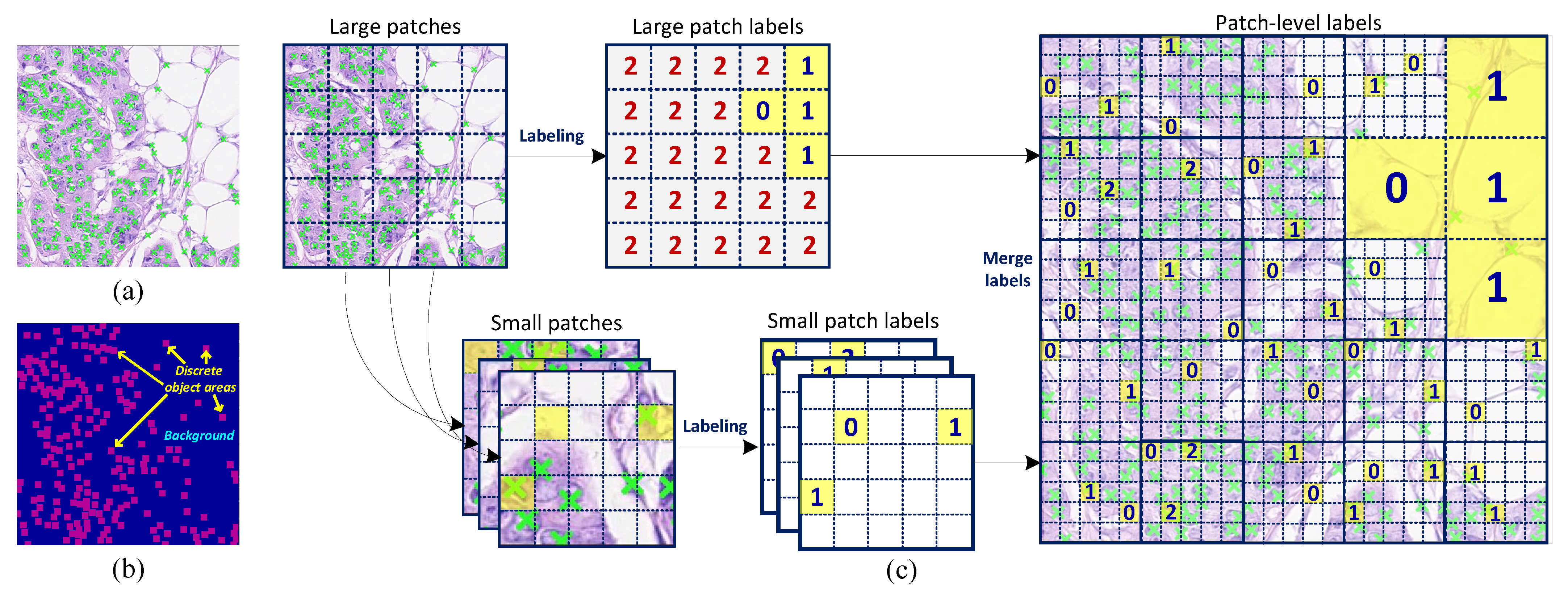 Entropy 23 01336 g001 550