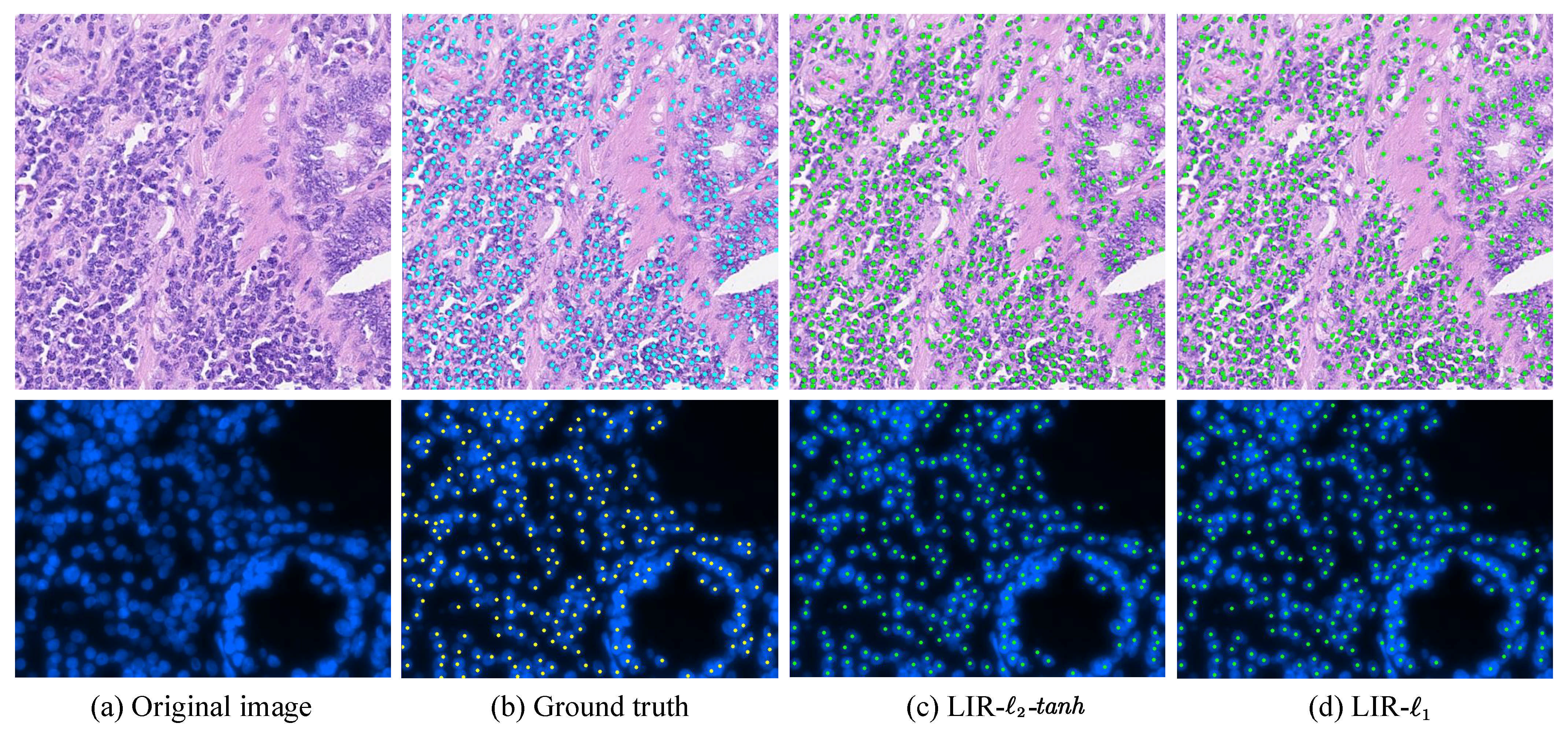 Entropy 23 01336 g003 550