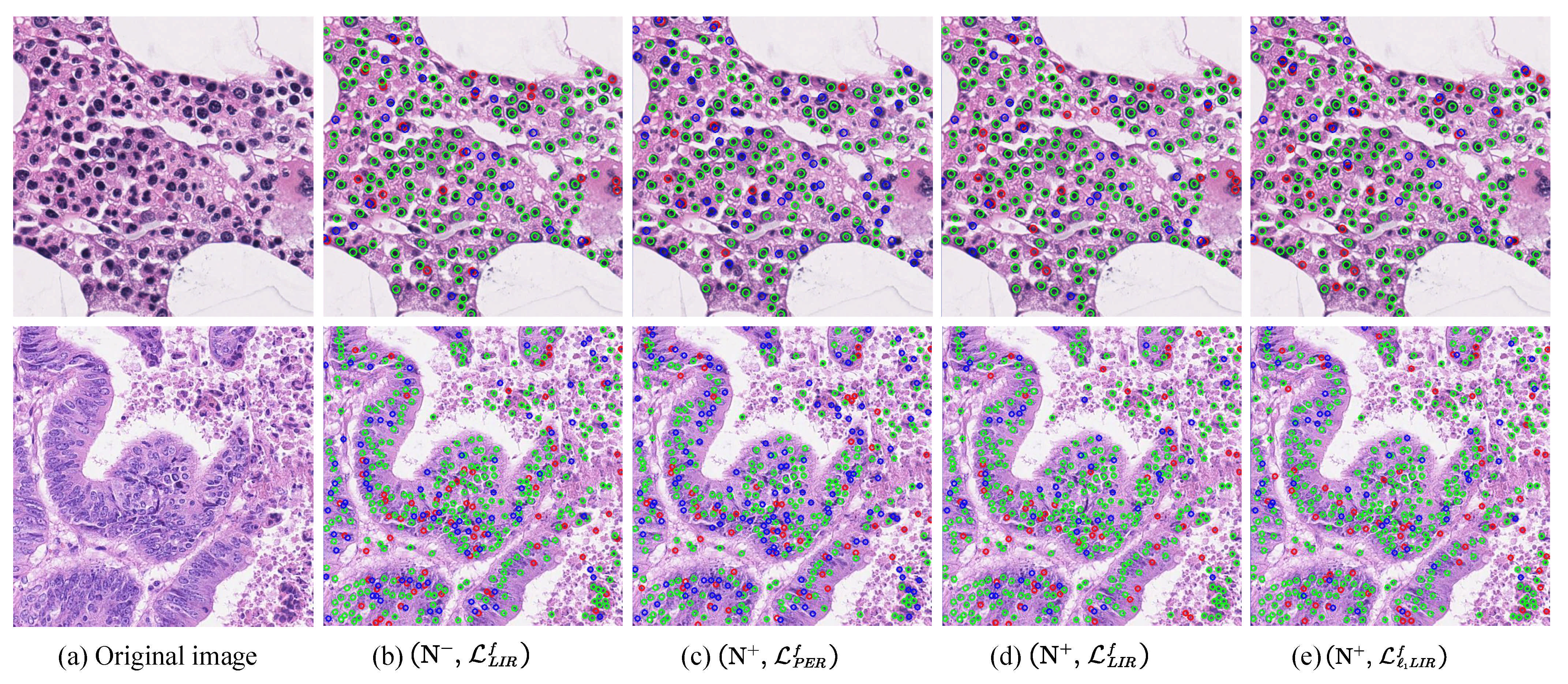 Entropy 23 01336 g004 550