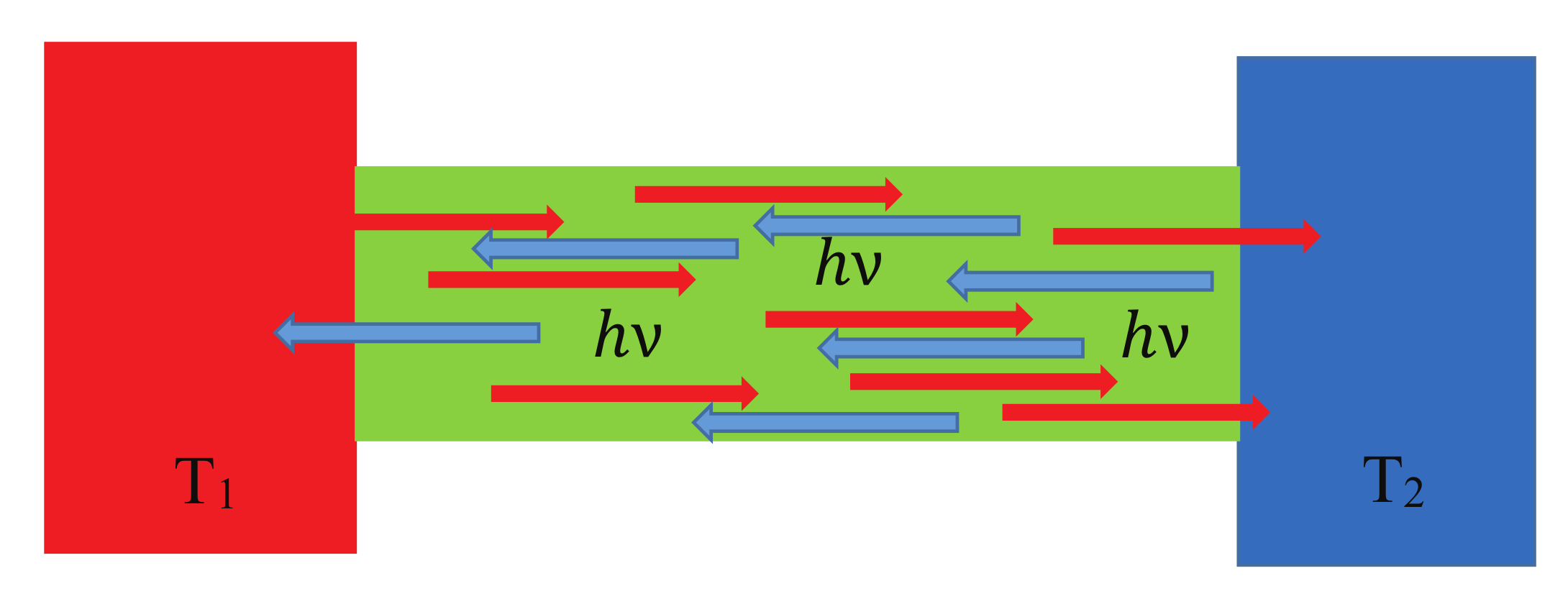 Entropy 23 01350 g005