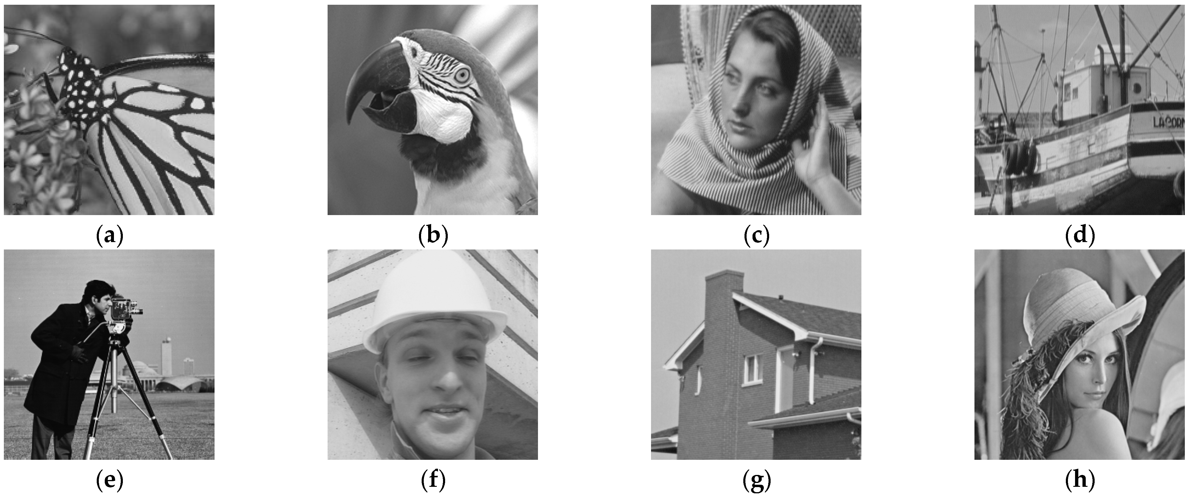 Entropy 23 01354 g003