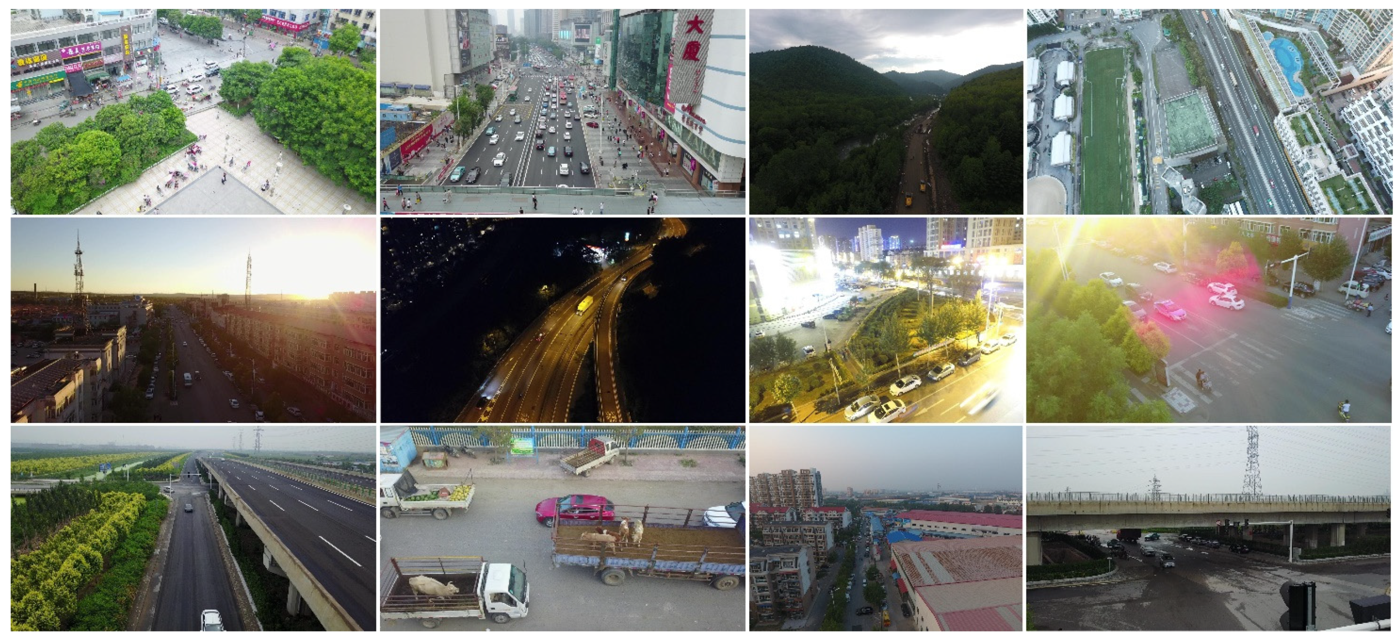 Entropy 23 01358 g005 550