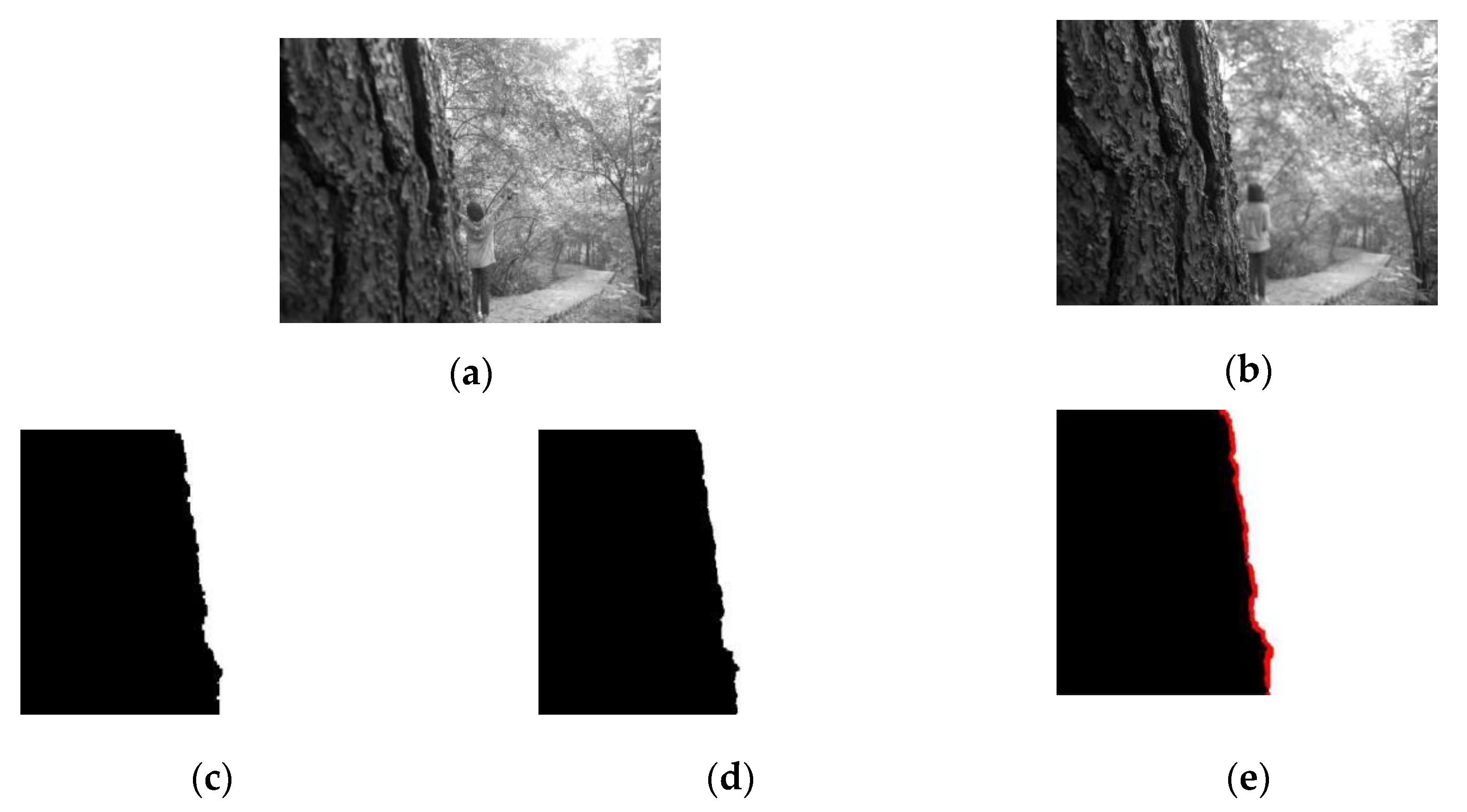 Entropy 23 01362 g002 550