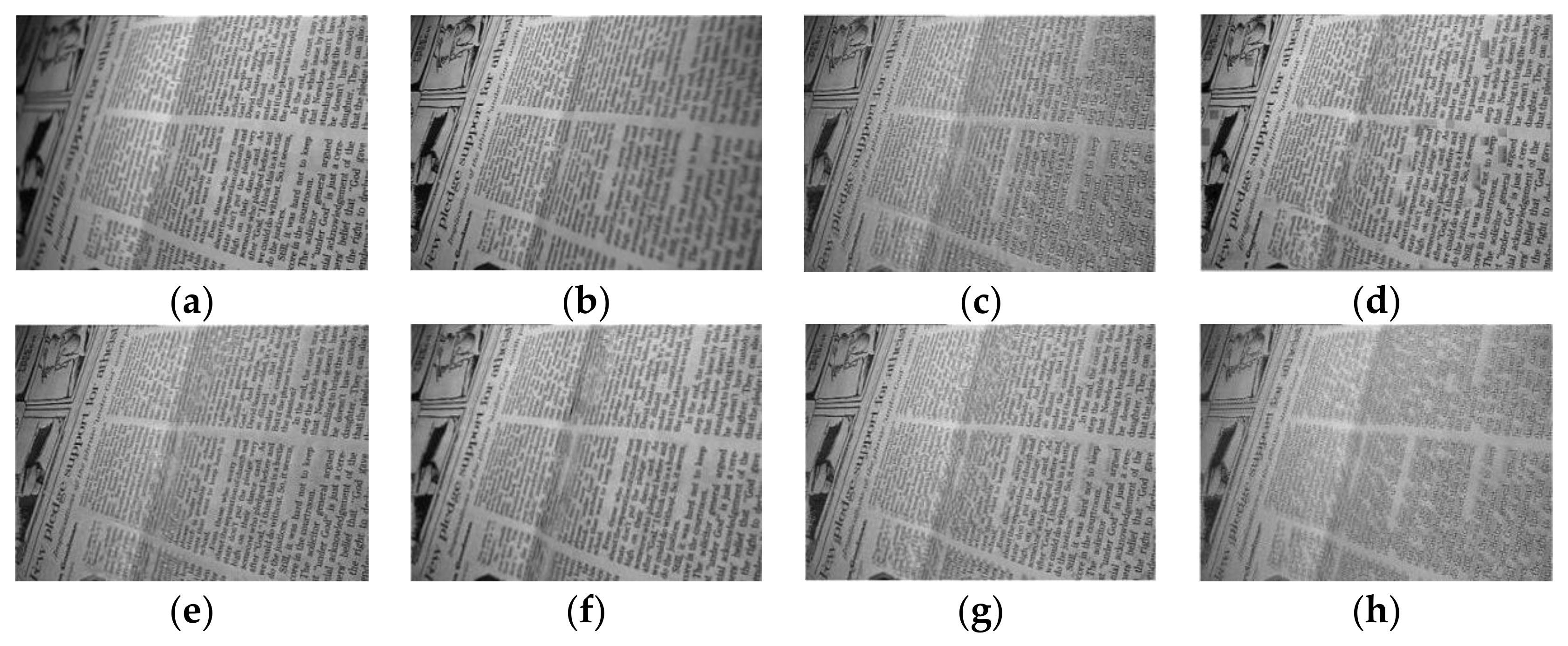 Entropy 23 01362 g008a 550