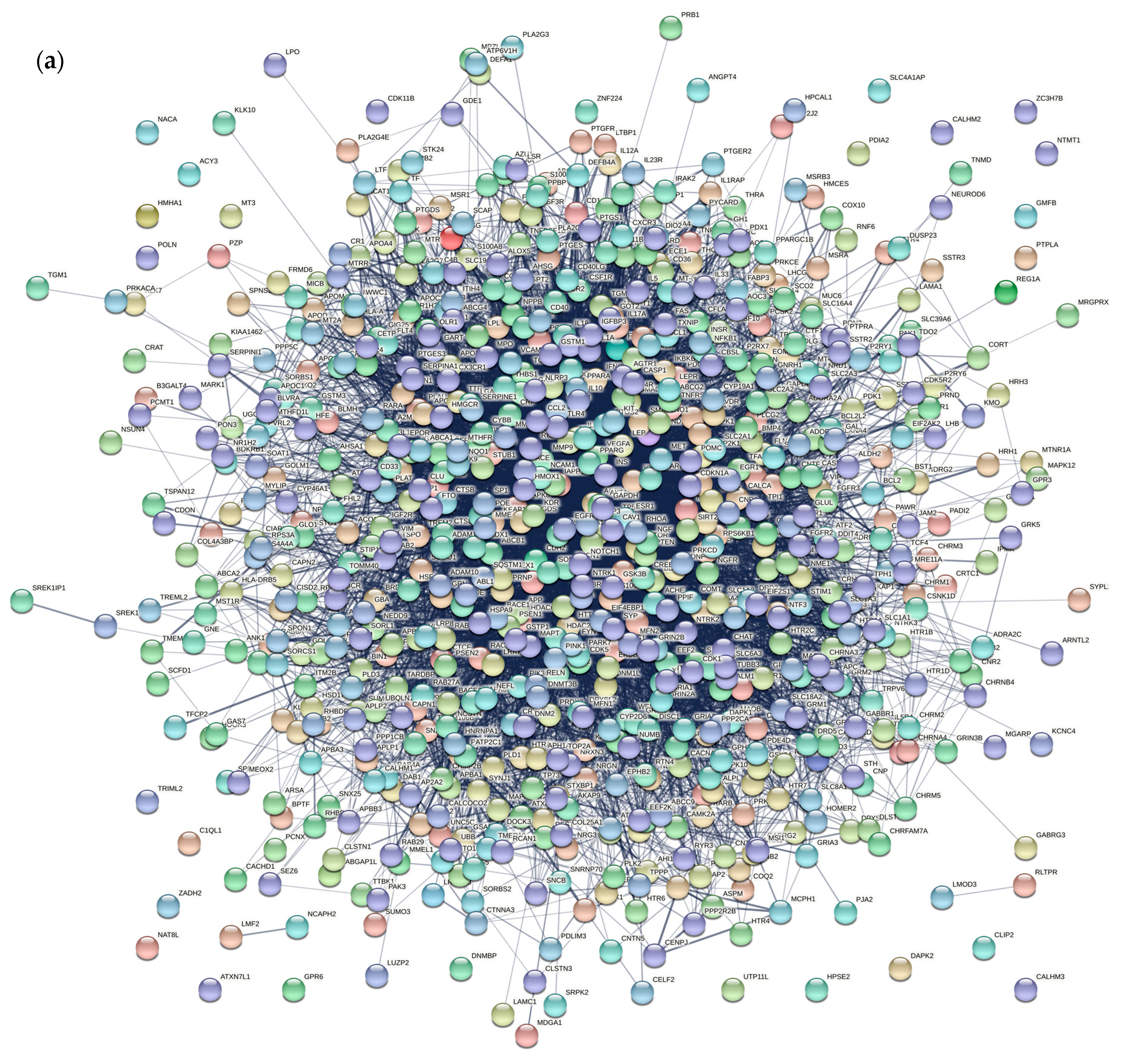 Entropy 23 01365 g002a