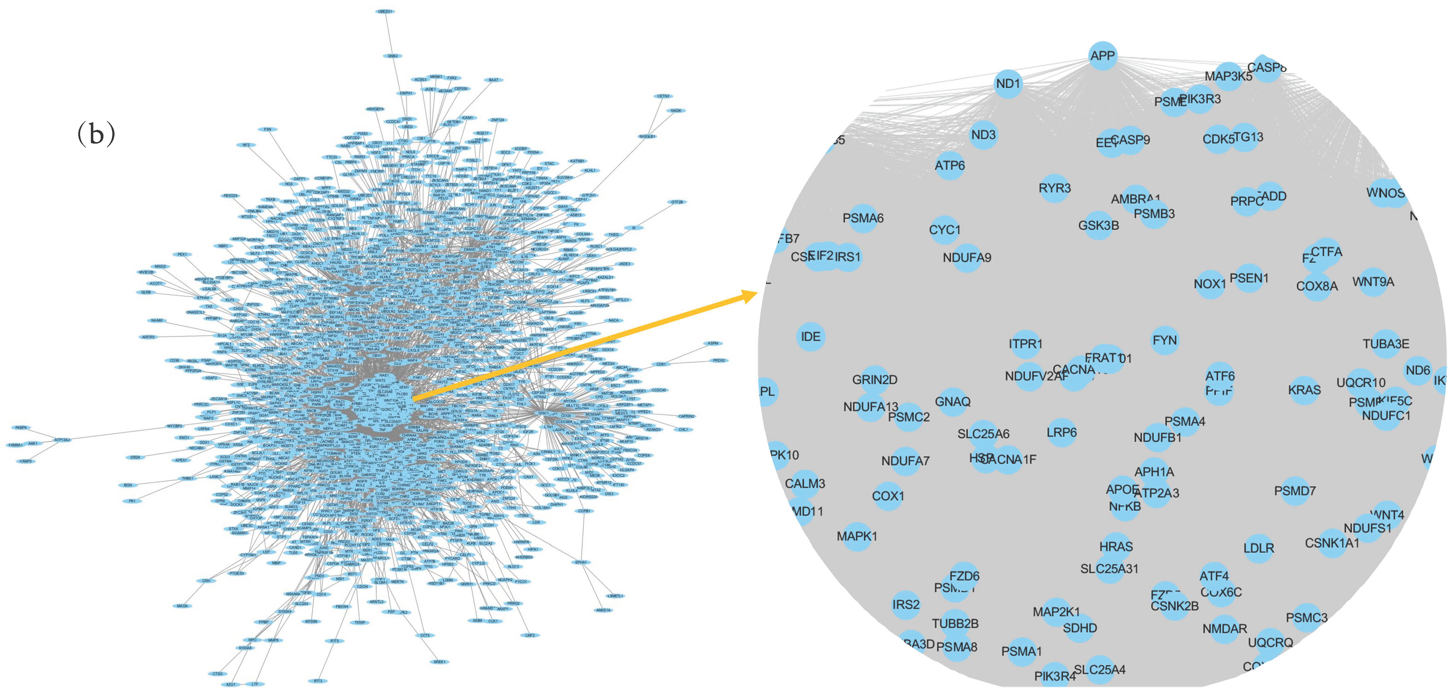 Entropy 23 01365 g002b