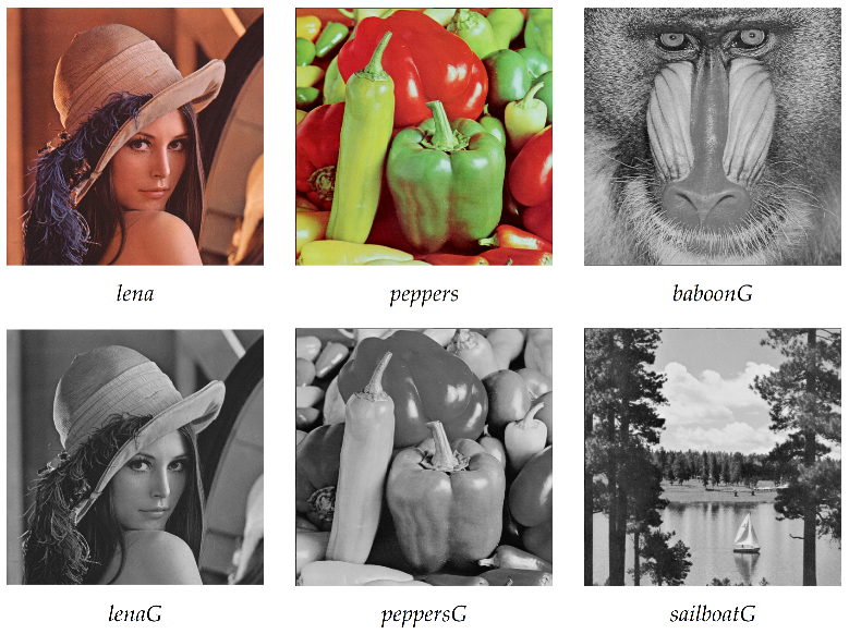 Entropy 23 01373 g008