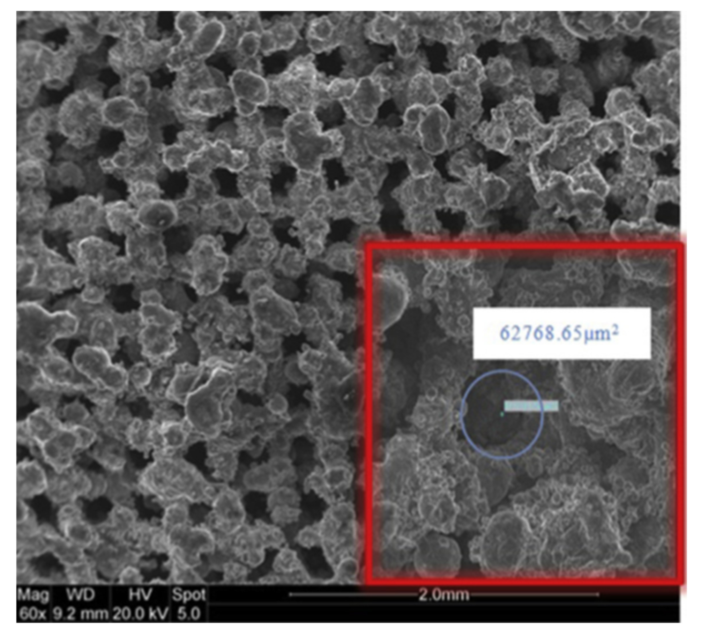 Entropy 23 01374 g005