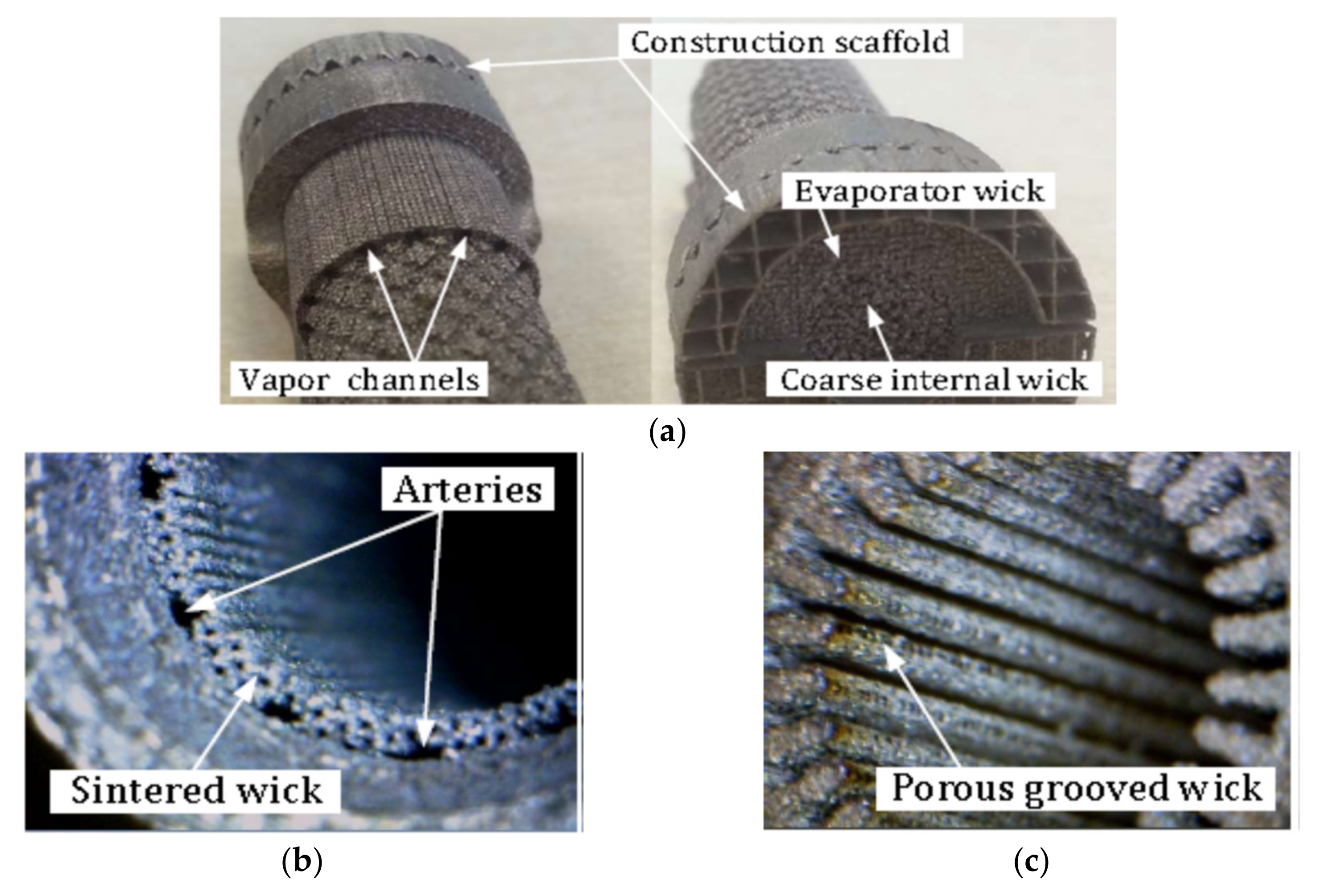 Entropy 23 01374 g007 550